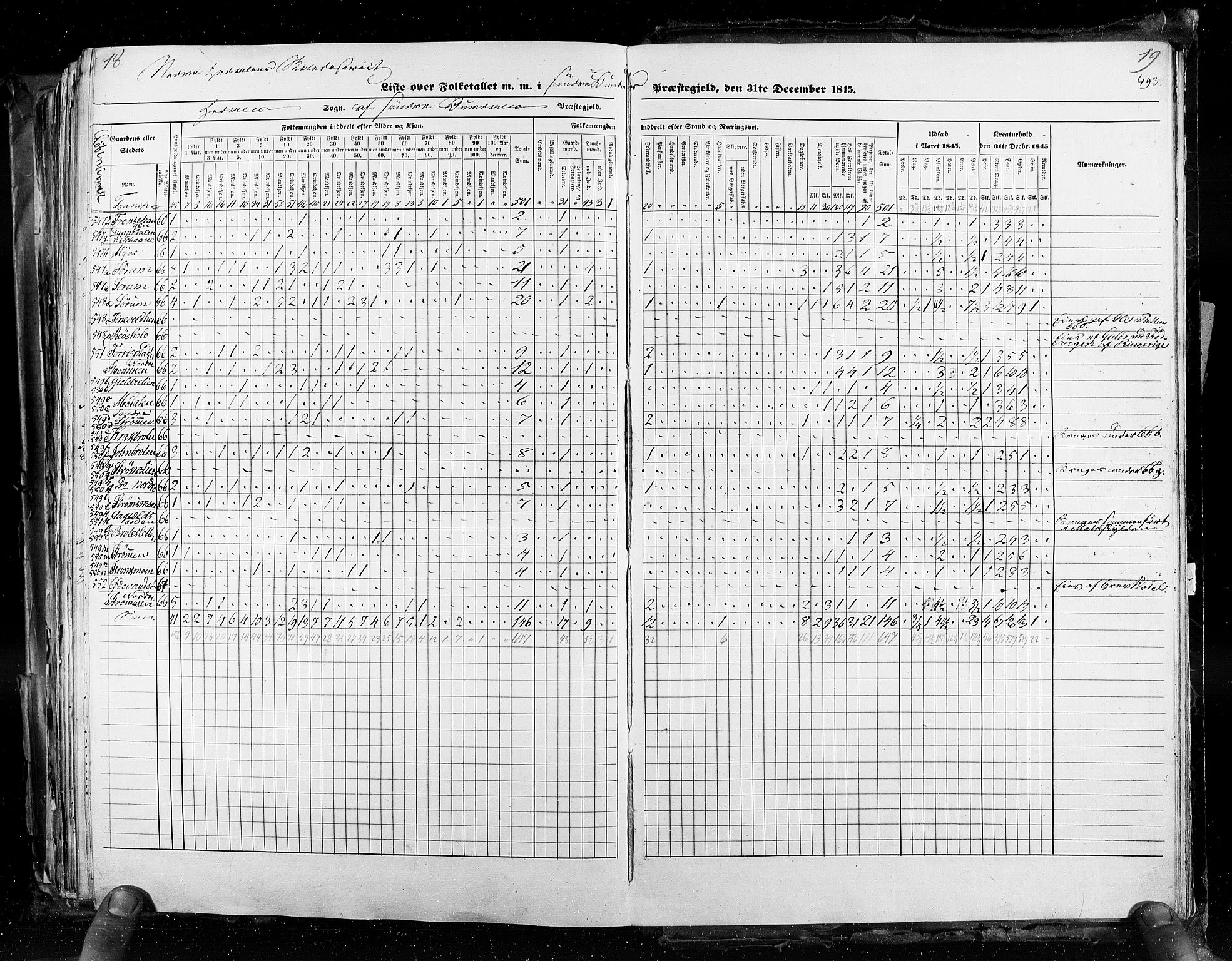 RA, Census 1845, vol. 3: Hedemarken amt og Kristians amt, 1845, p. 493