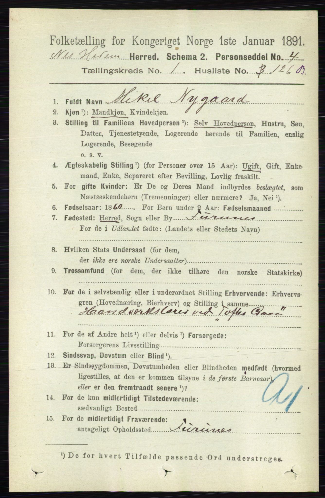 RA, 1891 census for 0411 Nes, 1891, p. 911