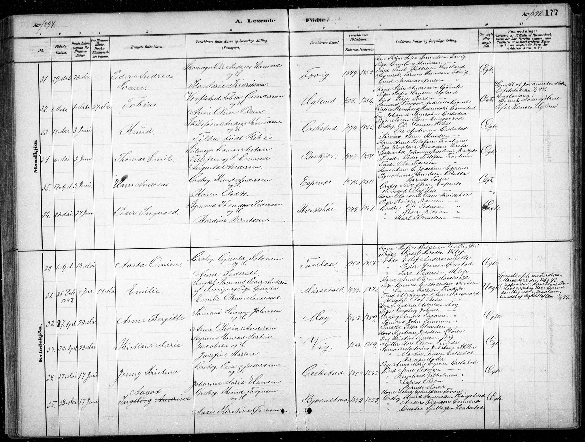 Fjære sokneprestkontor, AV/SAK-1111-0011/F/Fb/L0011: Parish register (copy) no. B 11, 1881-1905, p. 177
