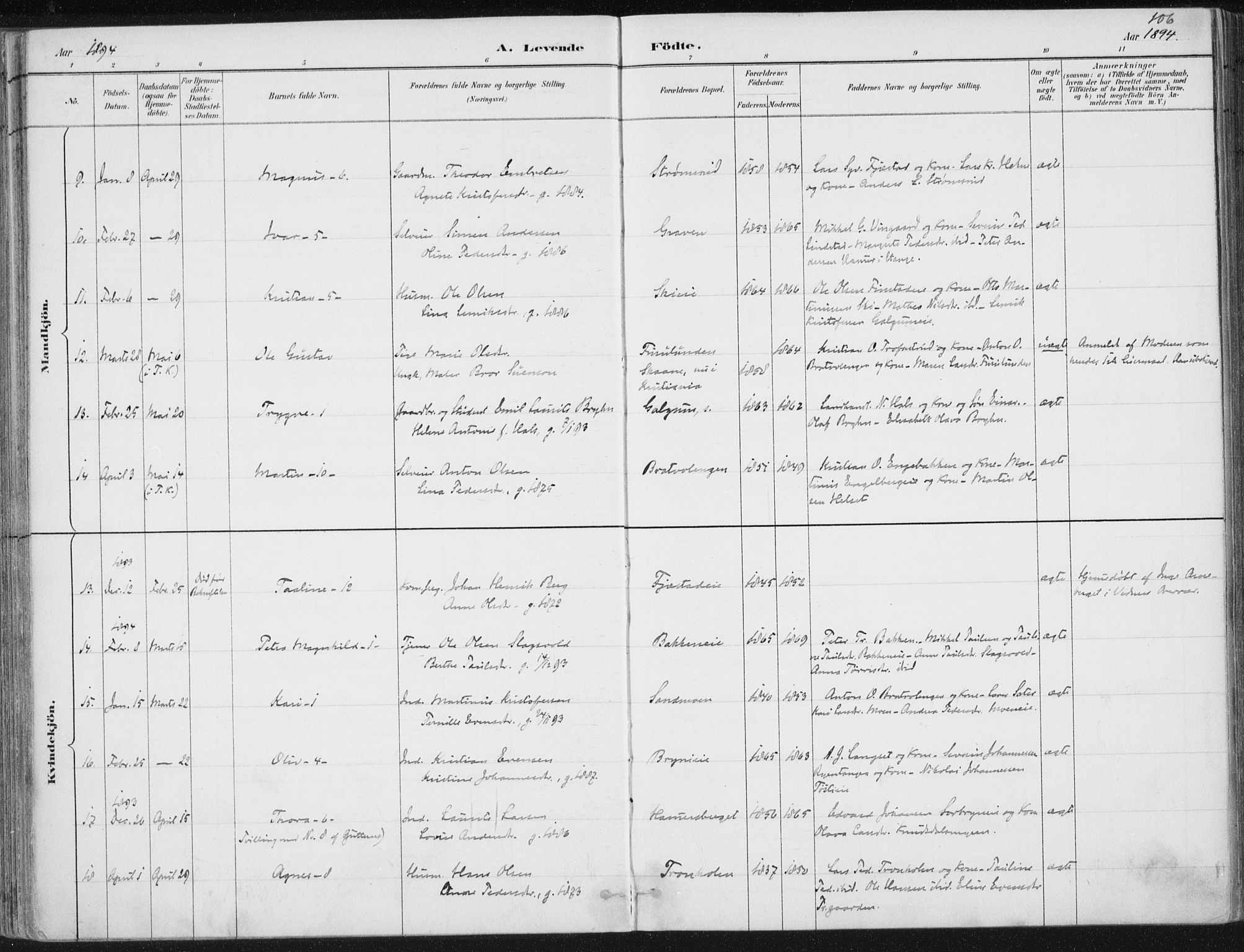 Romedal prestekontor, AV/SAH-PREST-004/K/L0010: Parish register (official) no. 10, 1880-1895, p. 106