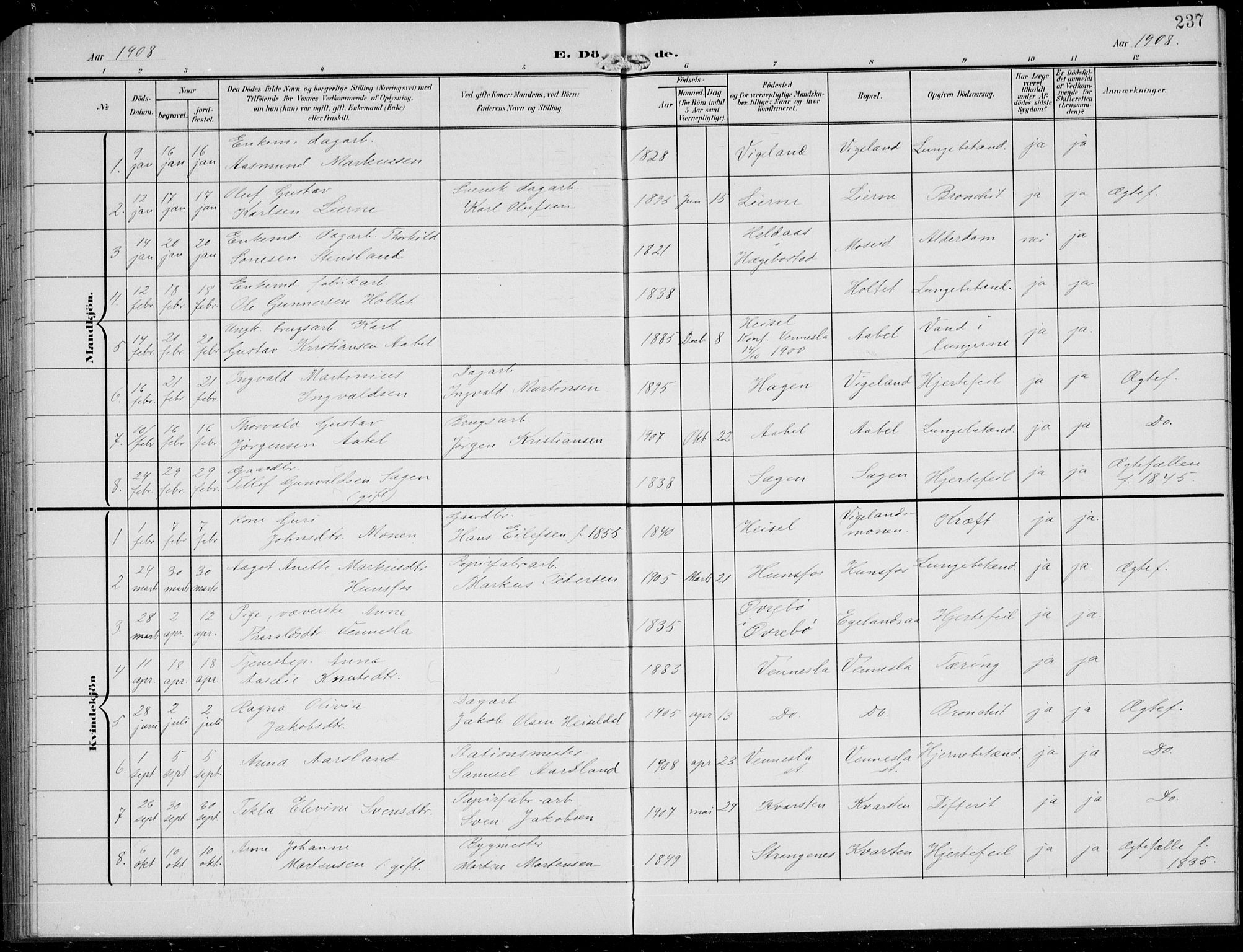 Vennesla sokneprestkontor, SAK/1111-0045/Fb/Fbb/L0005: Parish register (copy) no. B 5, 1903-1913, p. 237