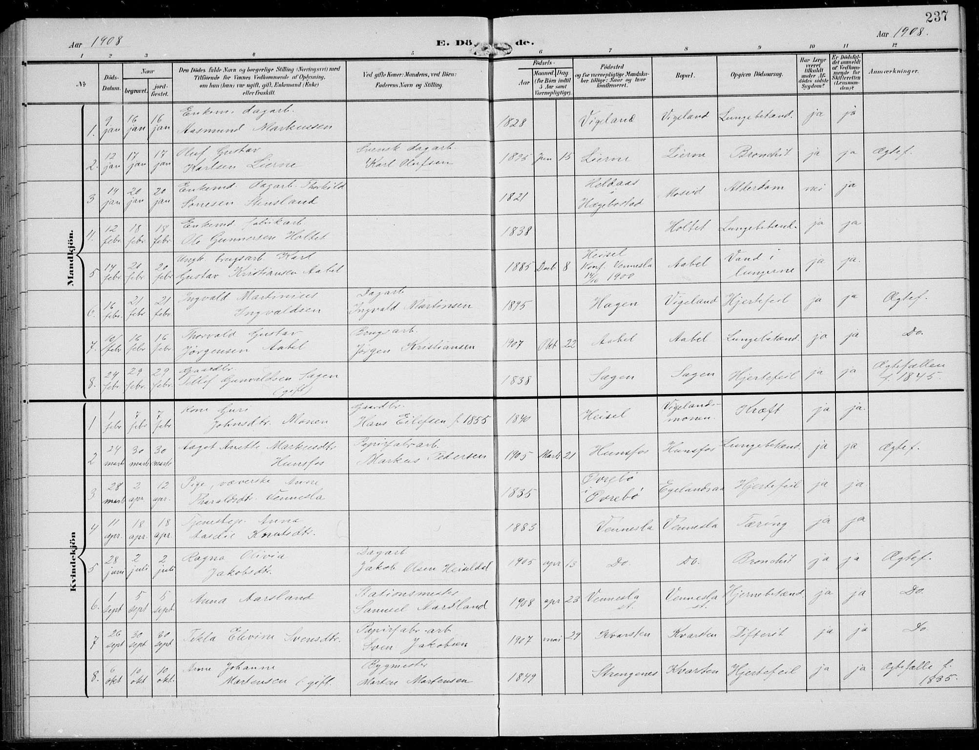 Vennesla sokneprestkontor, AV/SAK-1111-0045/Fb/Fbb/L0005: Parish register (copy) no. B 5, 1903-1913, p. 237