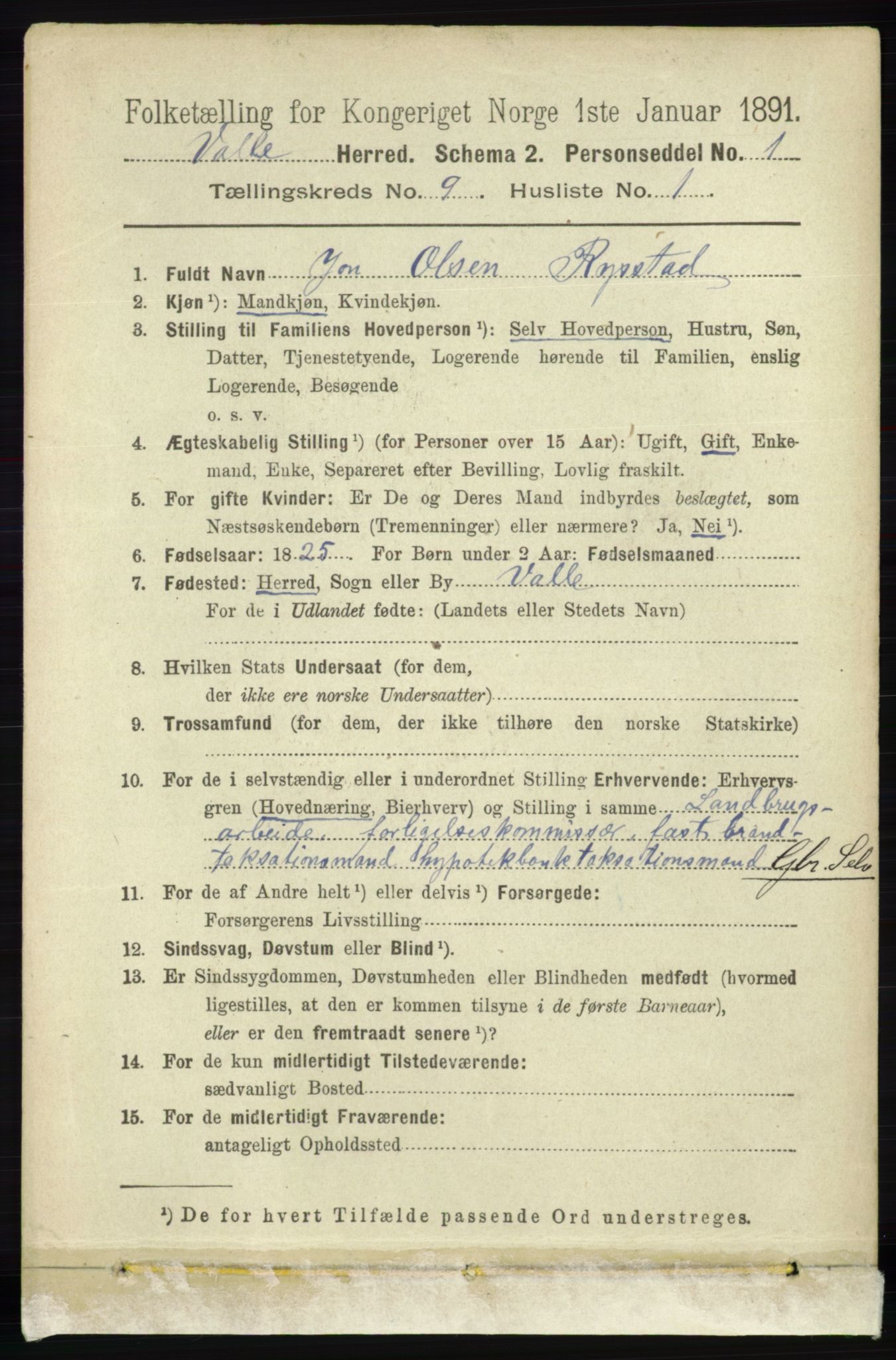 RA, 1891 census for 0940 Valle, 1891, p. 2444