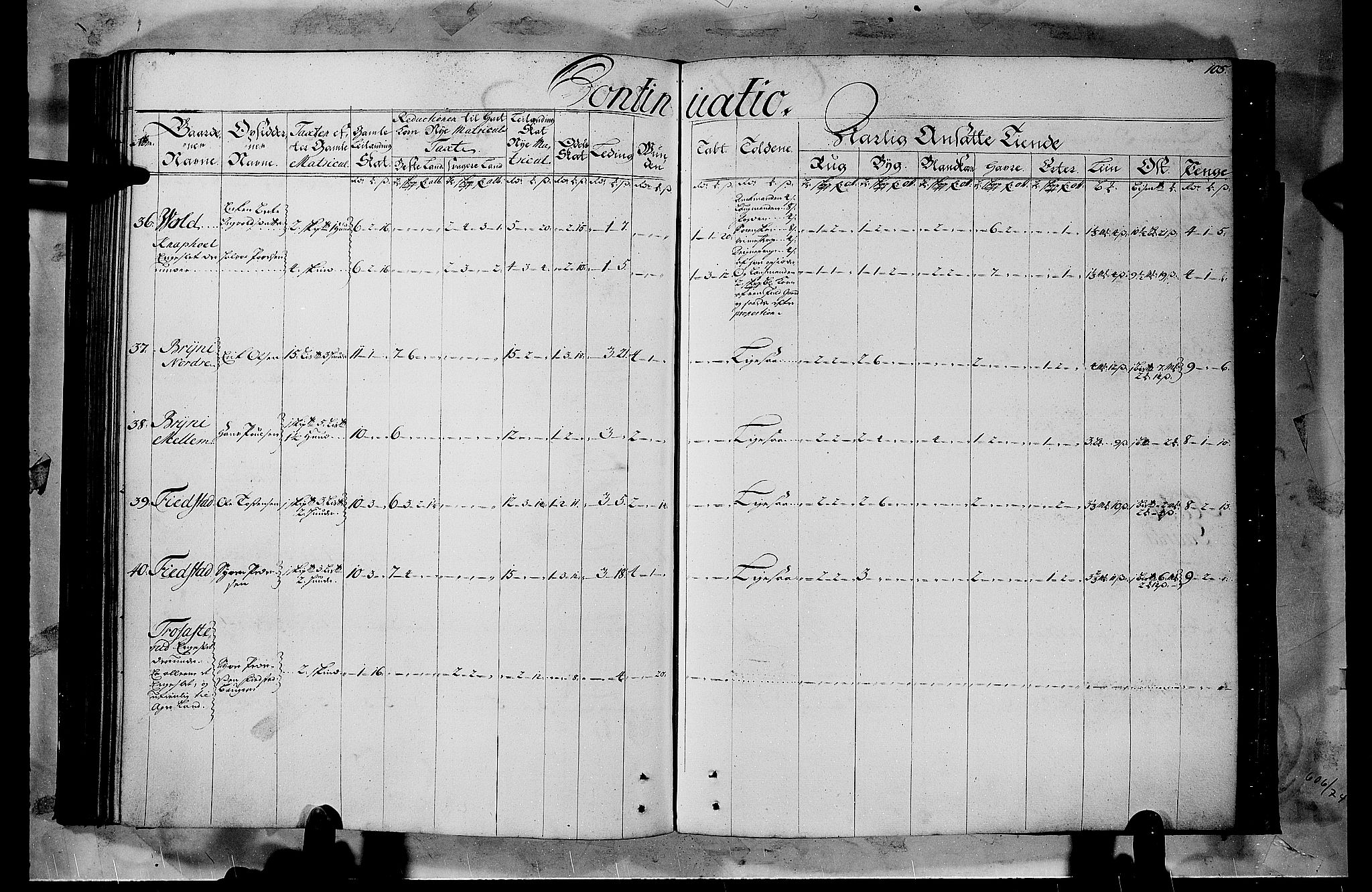 Rentekammeret inntil 1814, Realistisk ordnet avdeling, AV/RA-EA-4070/N/Nb/Nbf/L0103b: Hedmark matrikkelprotokoll, 1723, p. 105b-106a