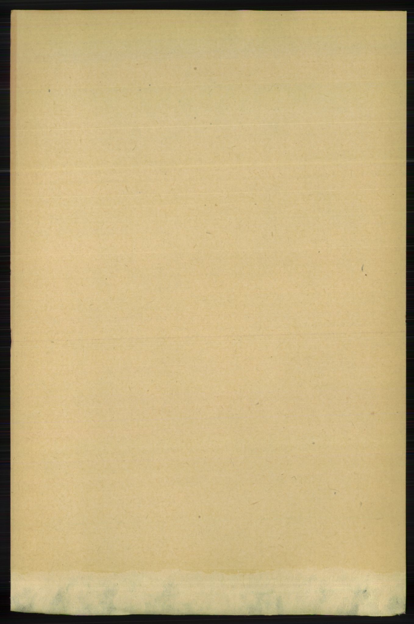 RA, 1891 census for 1129 Forsand, 1891, p. 1324
