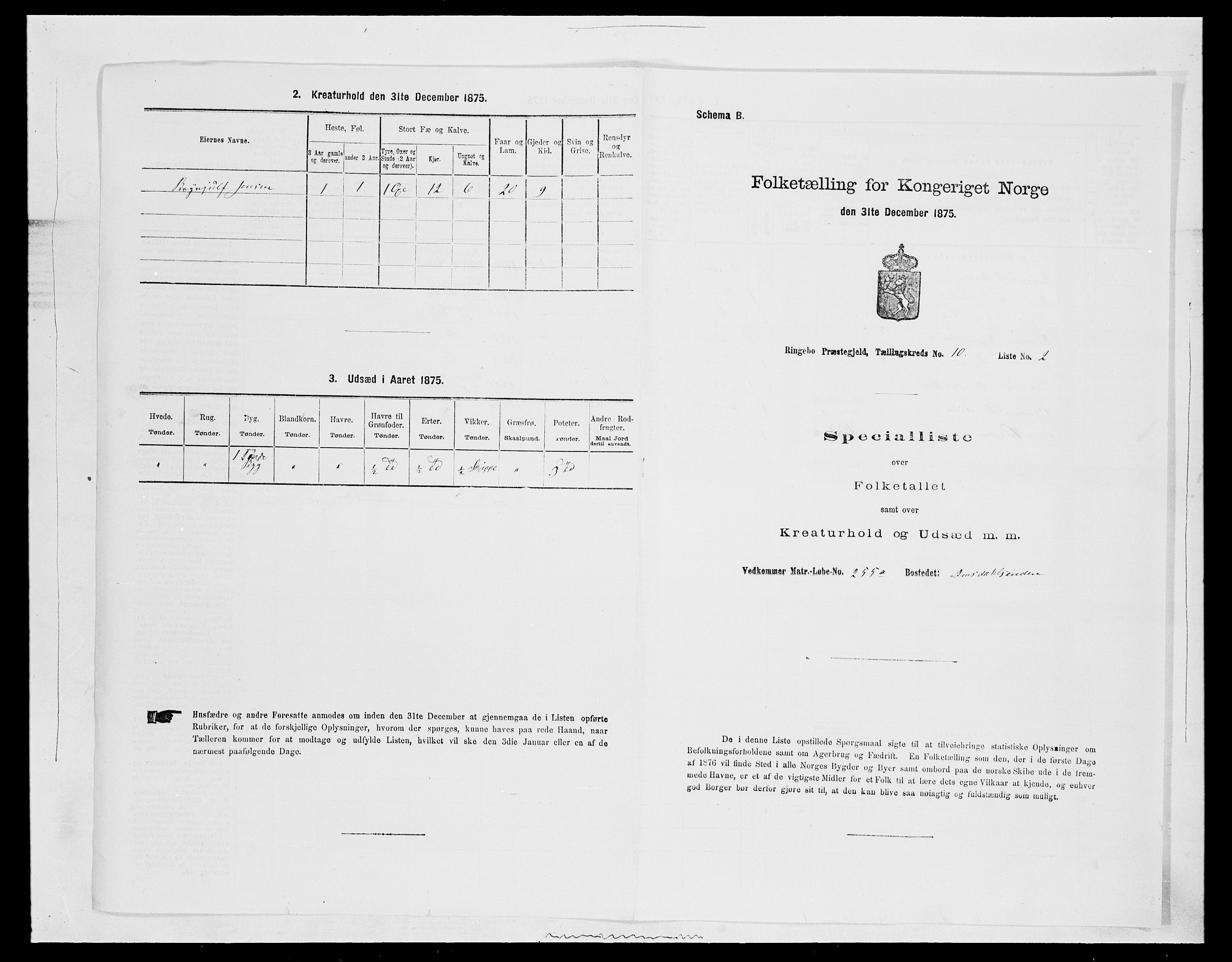 SAH, 1875 census for 0520P Ringebu, 1875, p. 1492