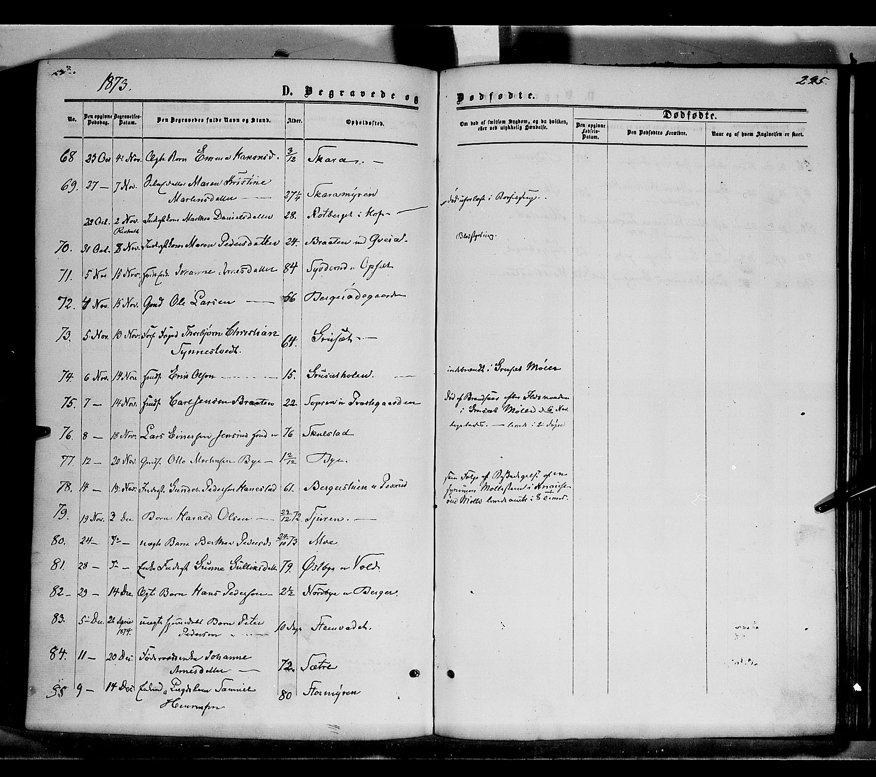 Grue prestekontor, SAH/PREST-036/H/Ha/Haa/L0010: Parish register (official) no. 10, 1864-1873, p. 295