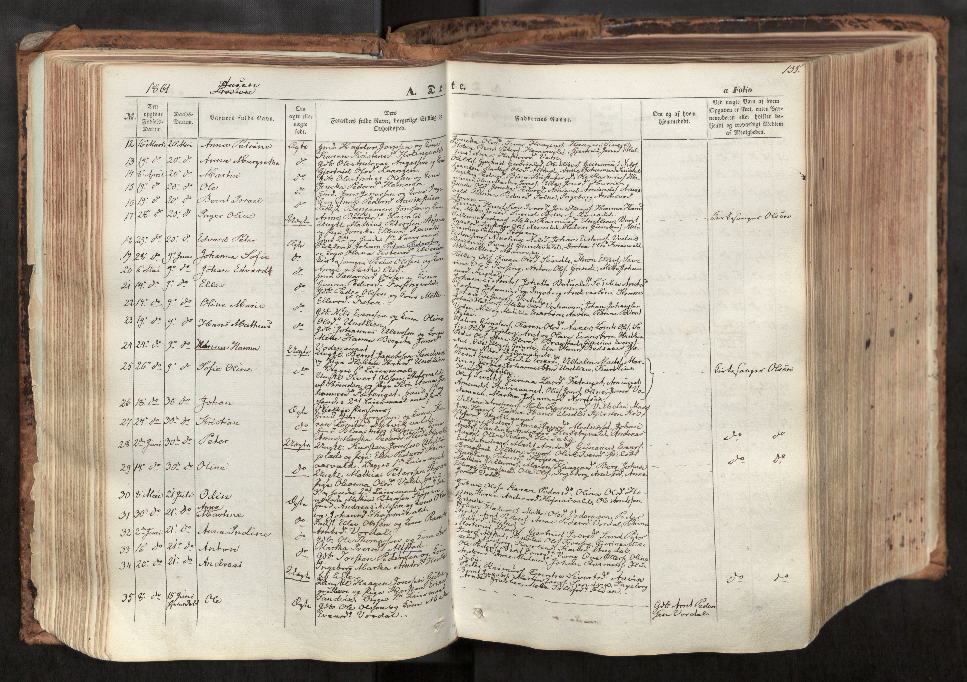 Ministerialprotokoller, klokkerbøker og fødselsregistre - Nord-Trøndelag, SAT/A-1458/713/L0116: Parish register (official) no. 713A07, 1850-1877, p. 135