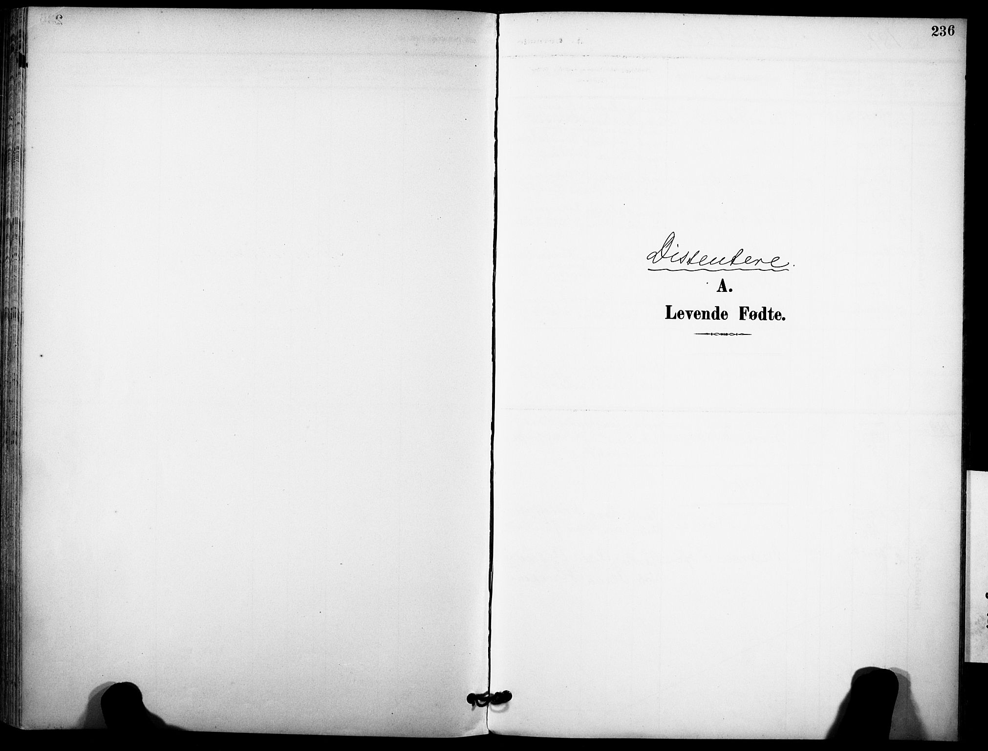 Ramnes kirkebøker, SAKO/A-314/F/Fa/L0008: Parish register (official) no. I 8, 1896-1913, p. 236