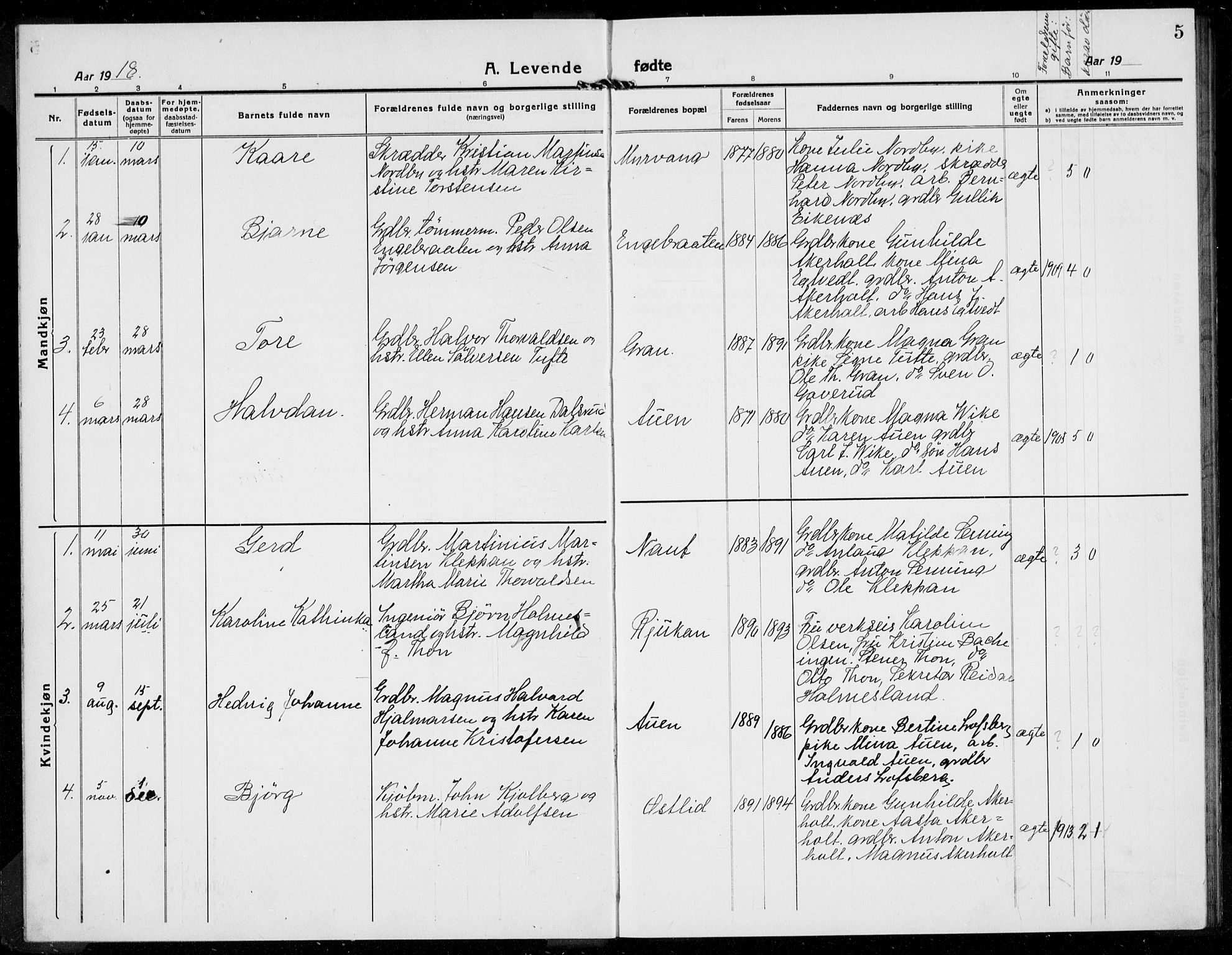 Hof kirkebøker, AV/SAKO-A-64/G/Gb/L0004: Parish register (copy) no. II 4, 1917-1934, p. 5