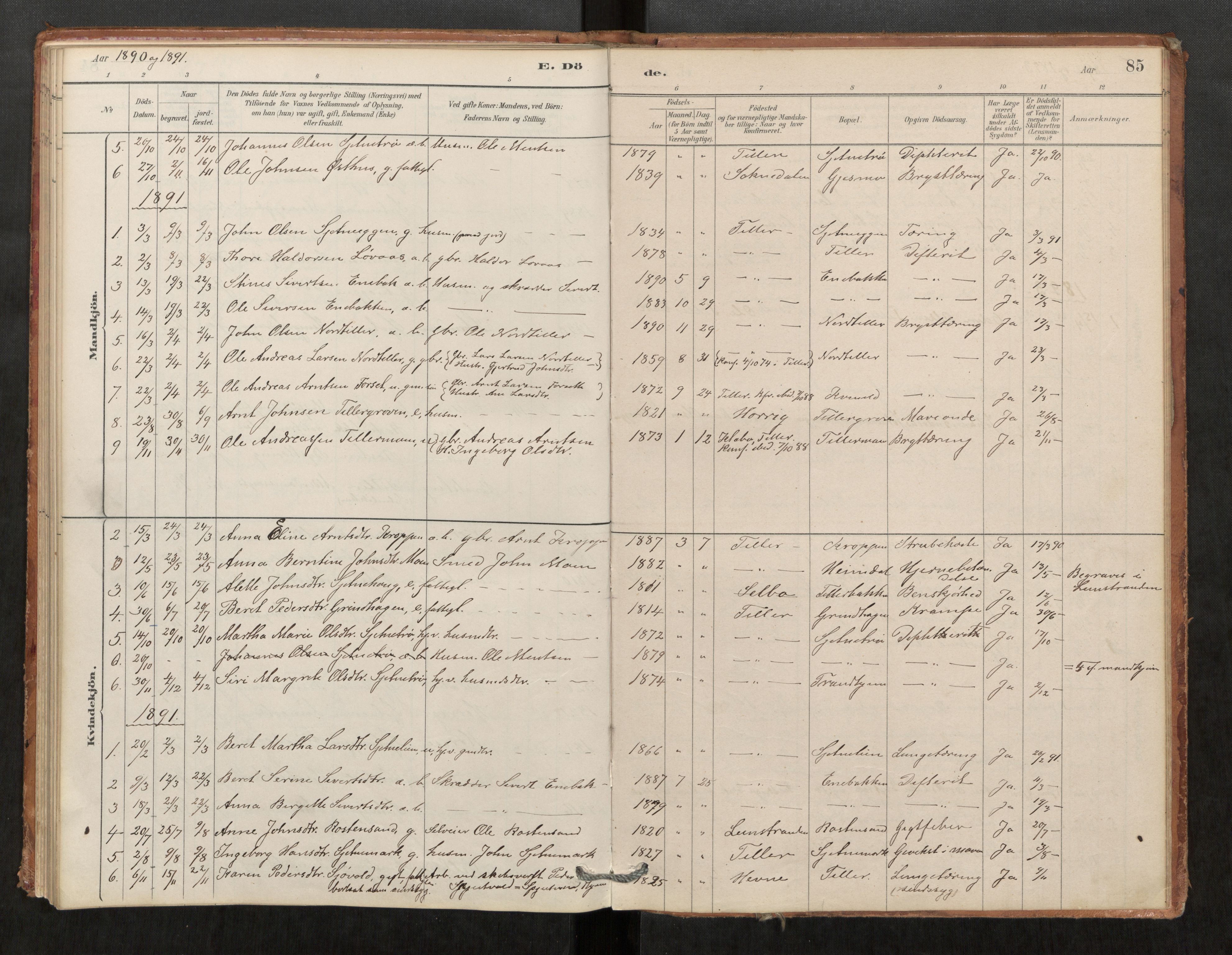 Klæbu sokneprestkontor, SAT/A-1112: Parish register (official) no. 1, 1880-1900, p. 85