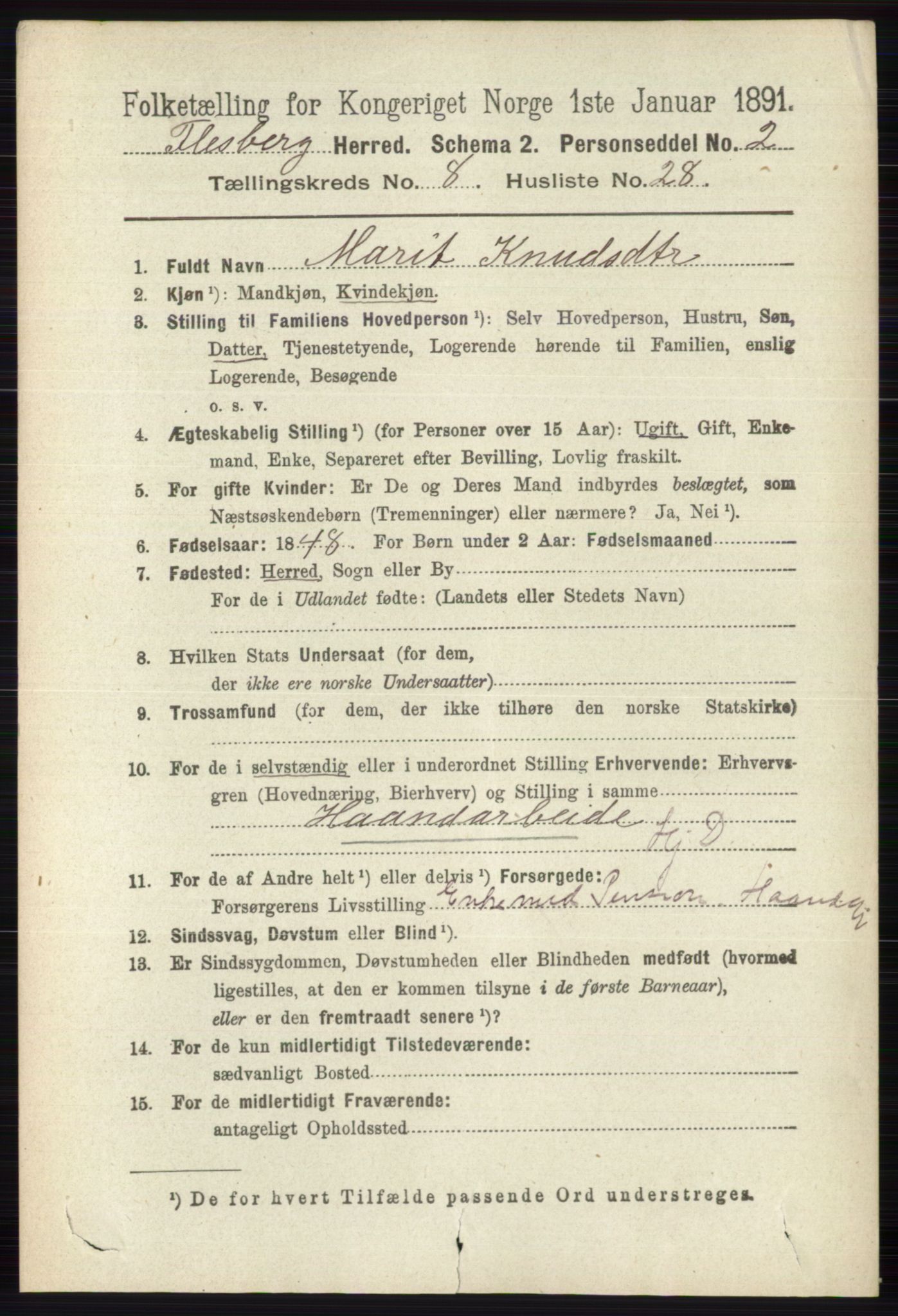 RA, 1891 census for 0631 Flesberg, 1891, p. 1495