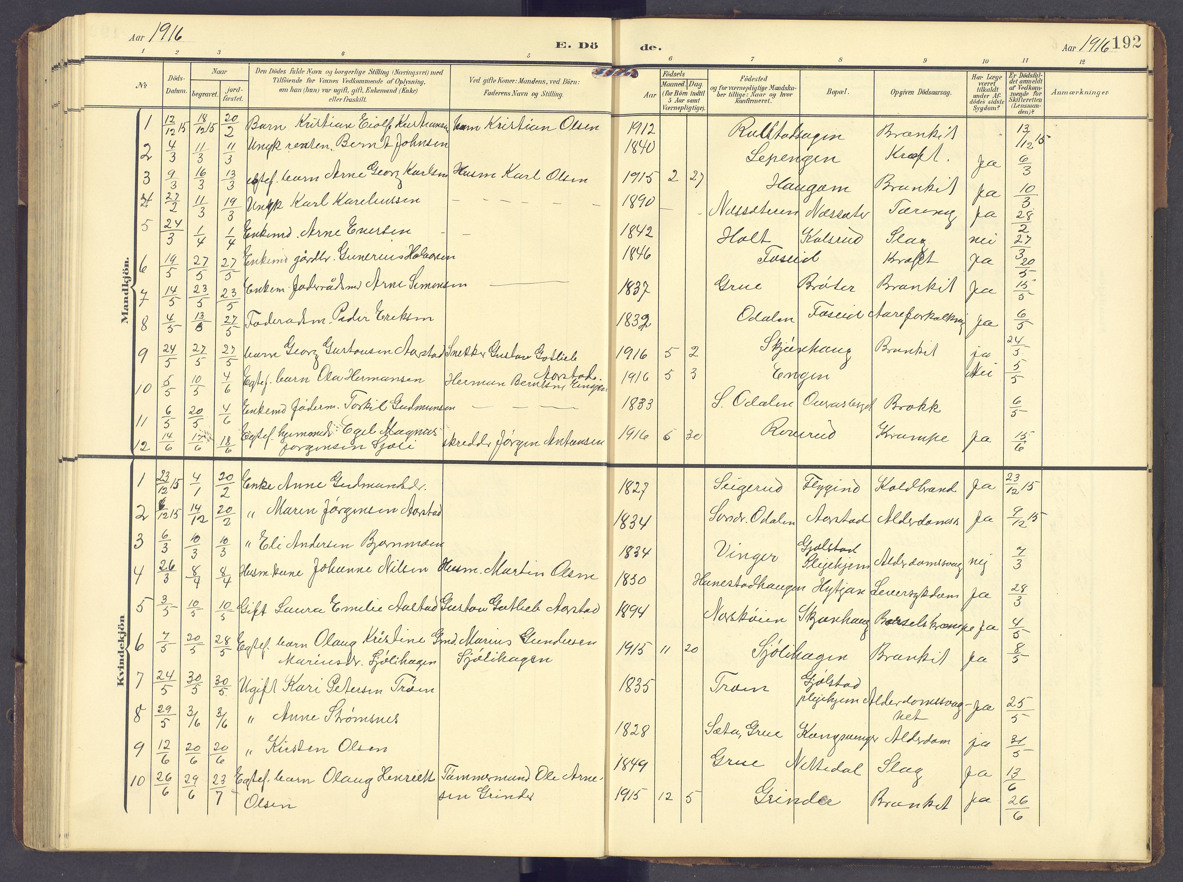 Brandval prestekontor, AV/SAH-PREST-034/H/Ha/Hab/L0003: Parish register (copy) no. 3, 1904-1917, p. 192