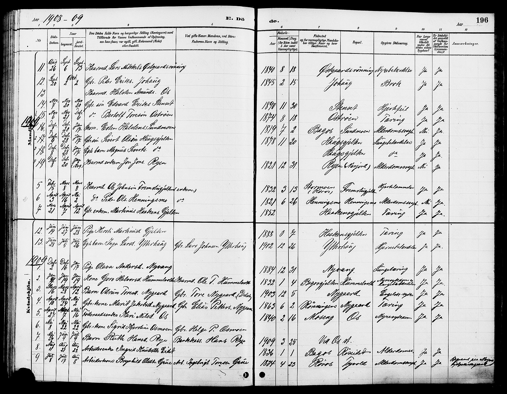 Tolga prestekontor, AV/SAH-PREST-062/L/L0008: Parish register (copy) no. 8, 1887-1912, p. 196