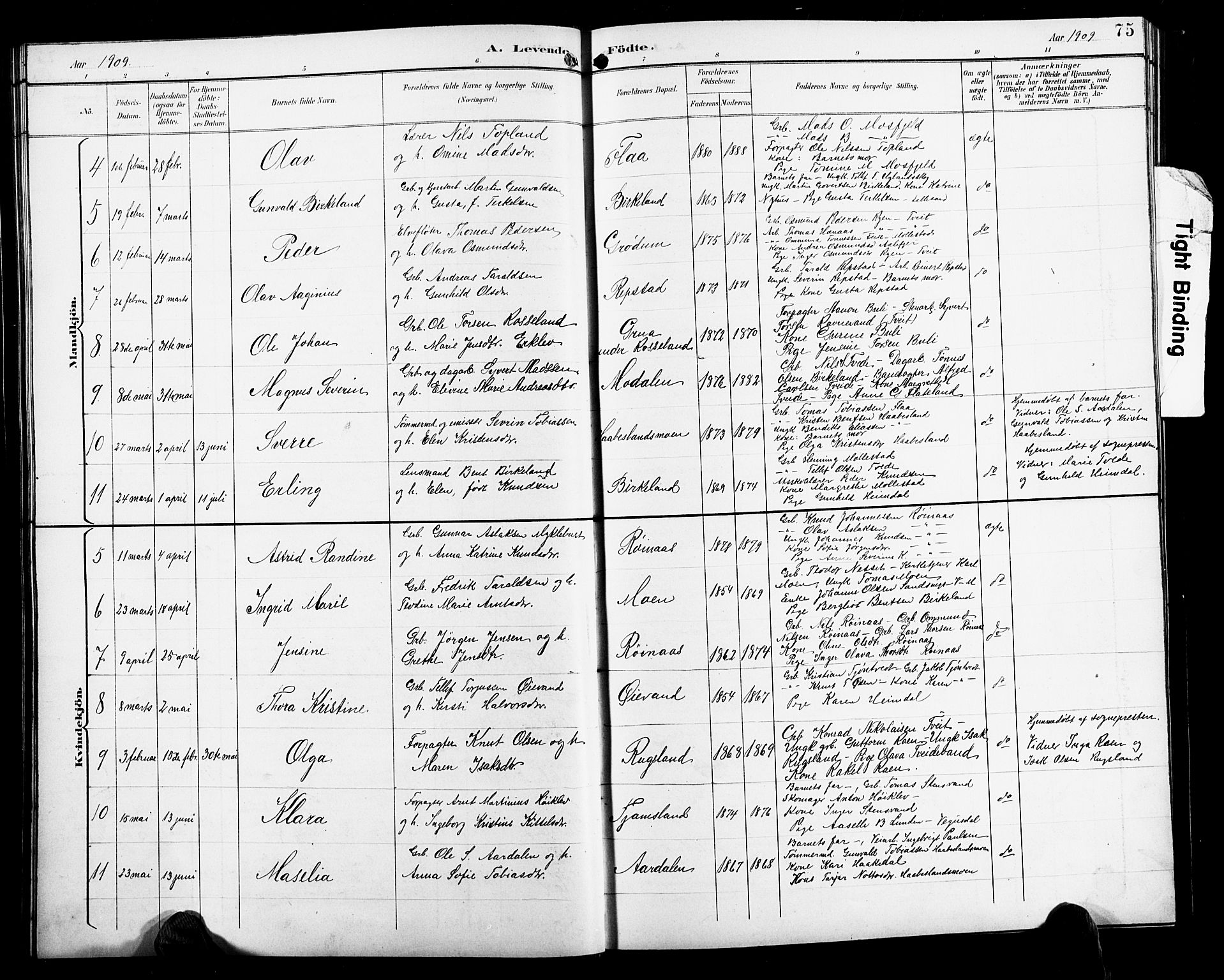 Birkenes sokneprestkontor, SAK/1111-0004/F/Fb/L0004: Parish register (copy) no. B 4, 1893-1930, p. 75