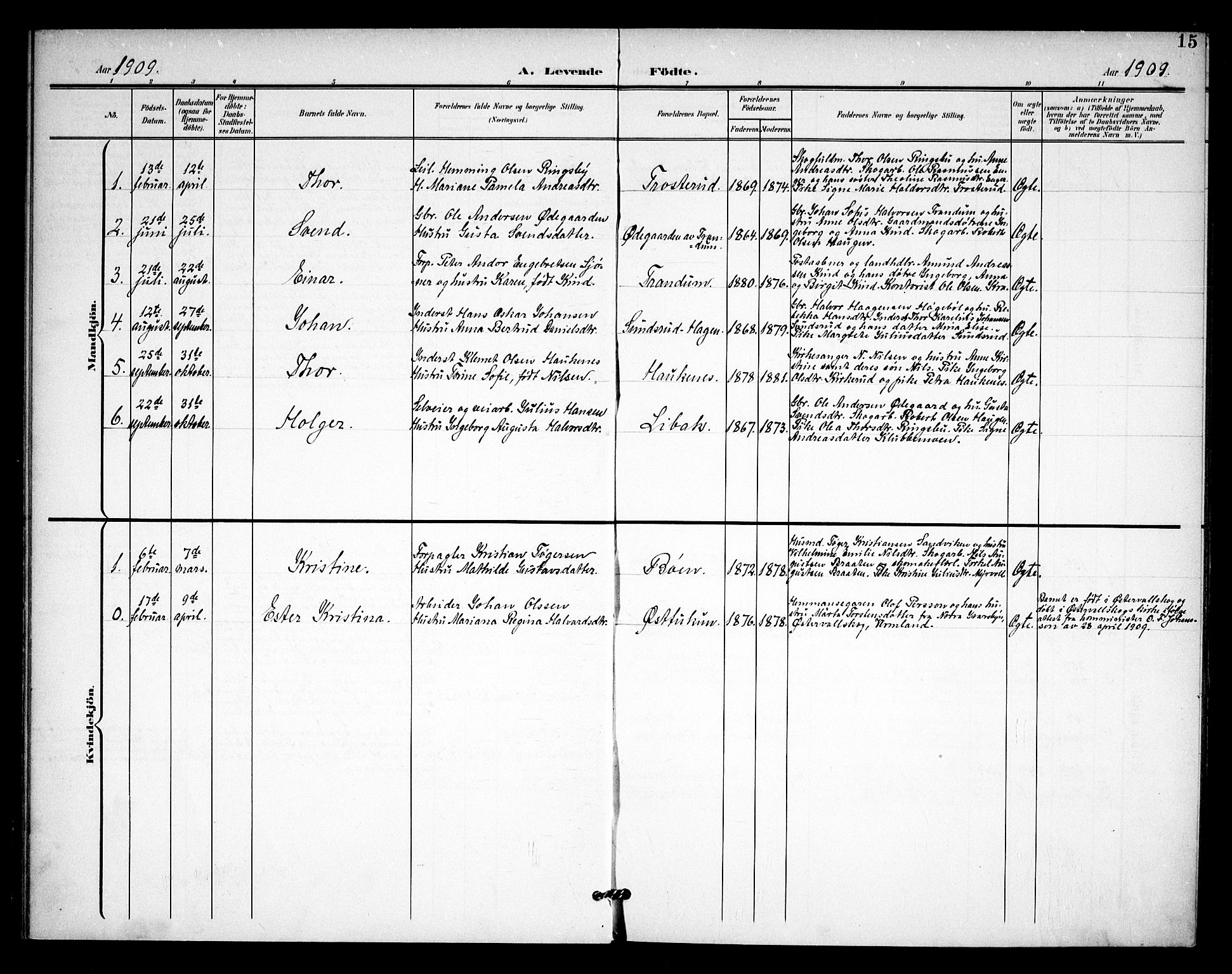 Rødenes prestekontor Kirkebøker, AV/SAO-A-2005/F/Fb/L0003: Parish register (official) no. II 3, 1901-1910, p. 15