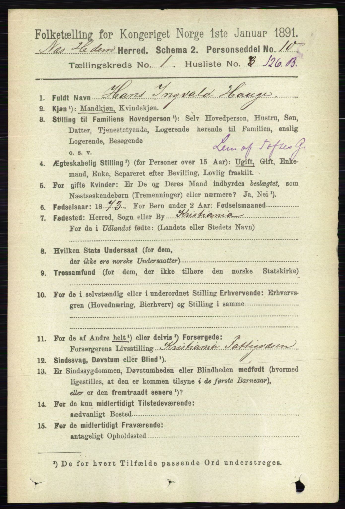RA, 1891 census for 0411 Nes, 1891, p. 917