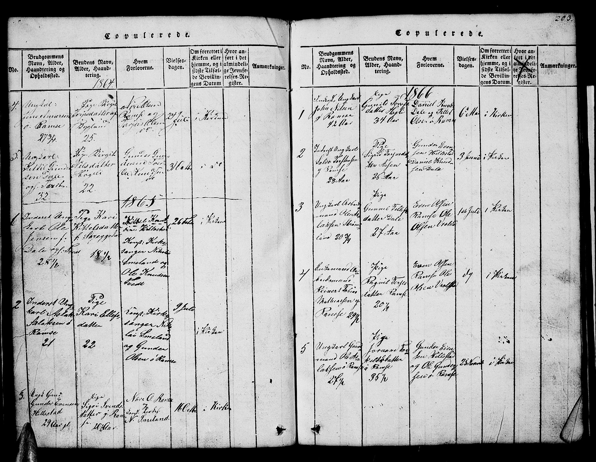 Åmli sokneprestkontor, AV/SAK-1111-0050/F/Fb/Fbb/L0001: Parish register (copy) no. B 1, 1816-1889, p. 203