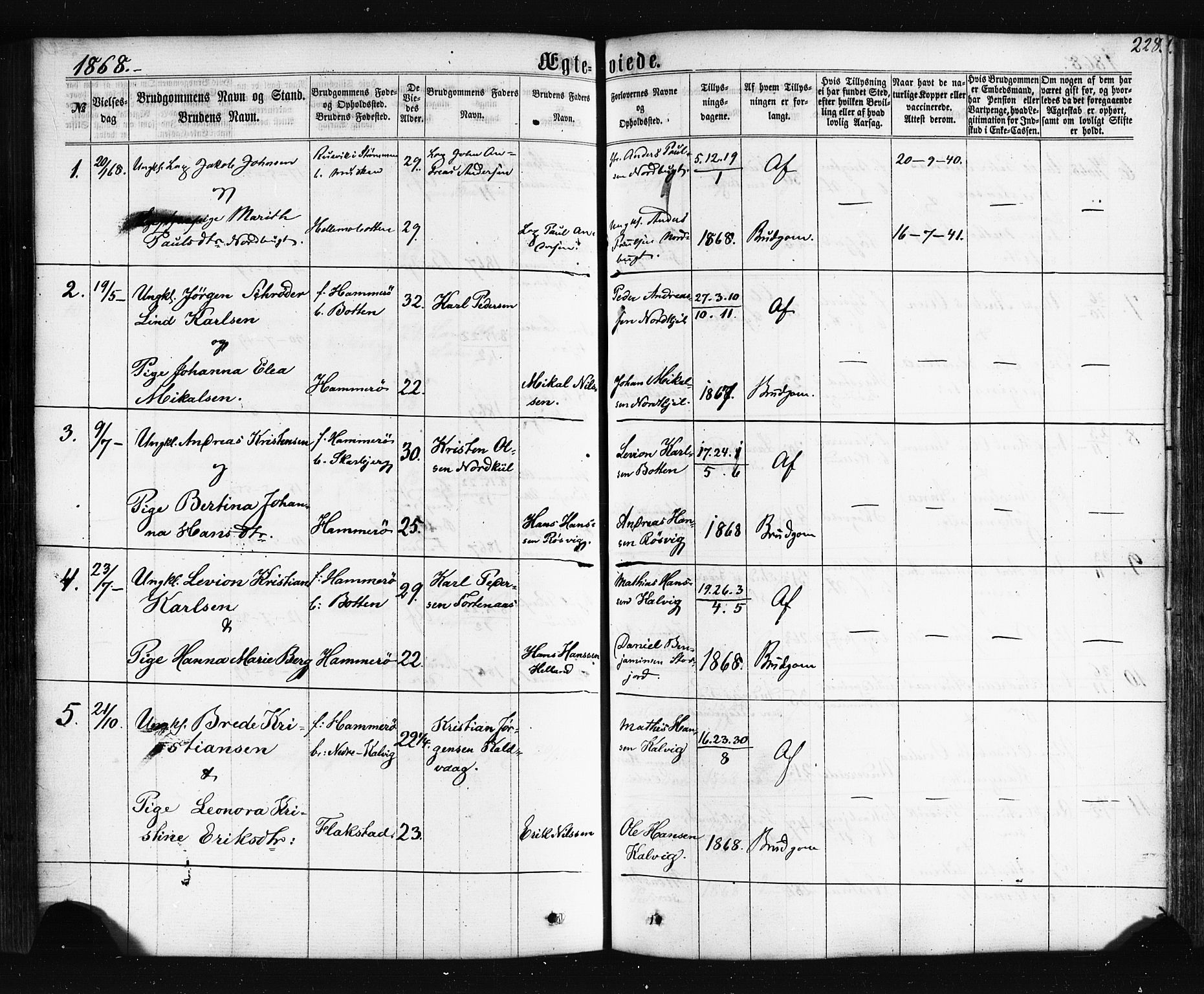 Ministerialprotokoller, klokkerbøker og fødselsregistre - Nordland, AV/SAT-A-1459/861/L0867: Parish register (official) no. 861A02, 1864-1878, p. 228