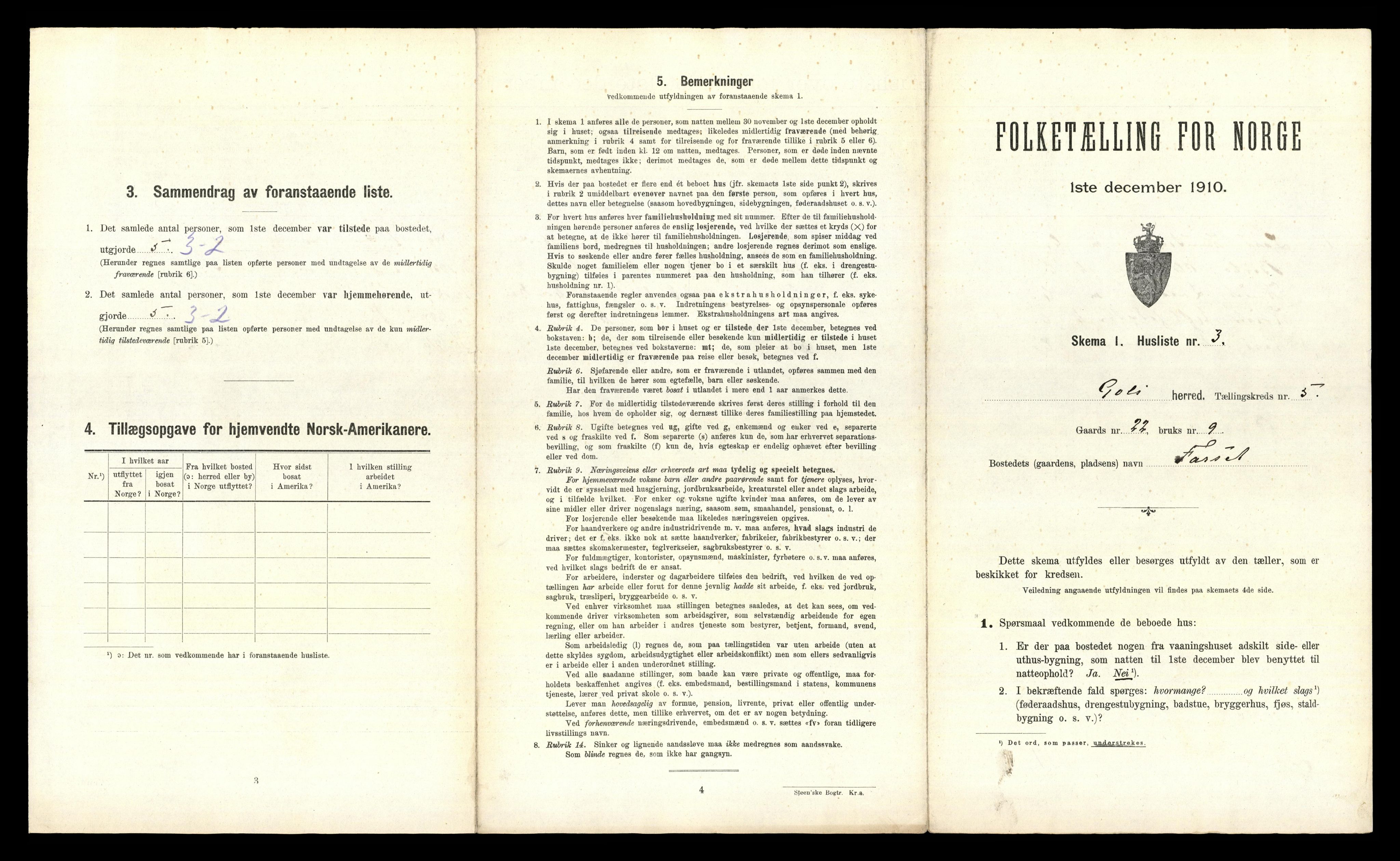 RA, 1910 census for Gol, 1910, p. 494