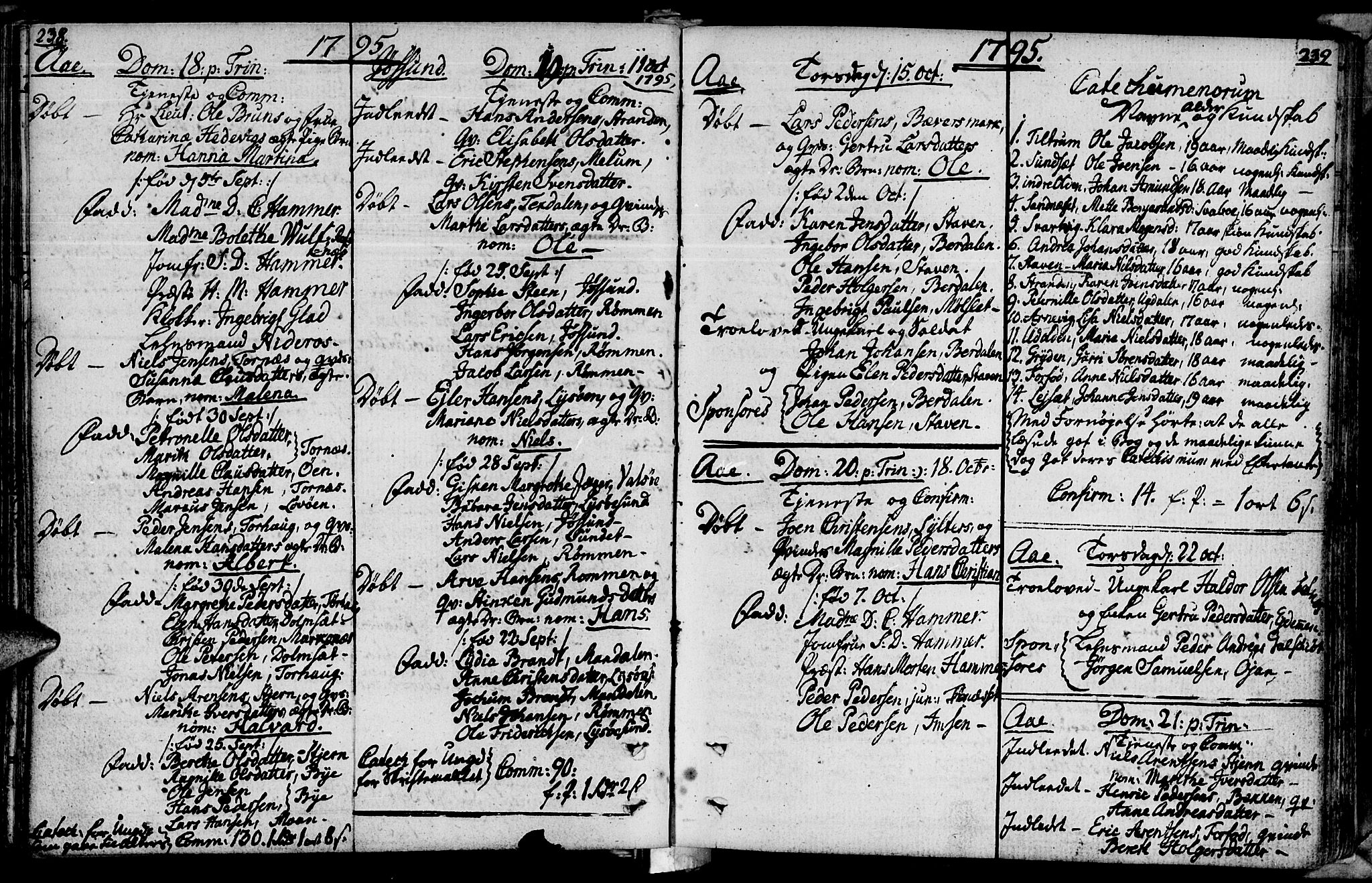 Ministerialprotokoller, klokkerbøker og fødselsregistre - Sør-Trøndelag, SAT/A-1456/655/L0673: Parish register (official) no. 655A02, 1780-1801, p. 238-239