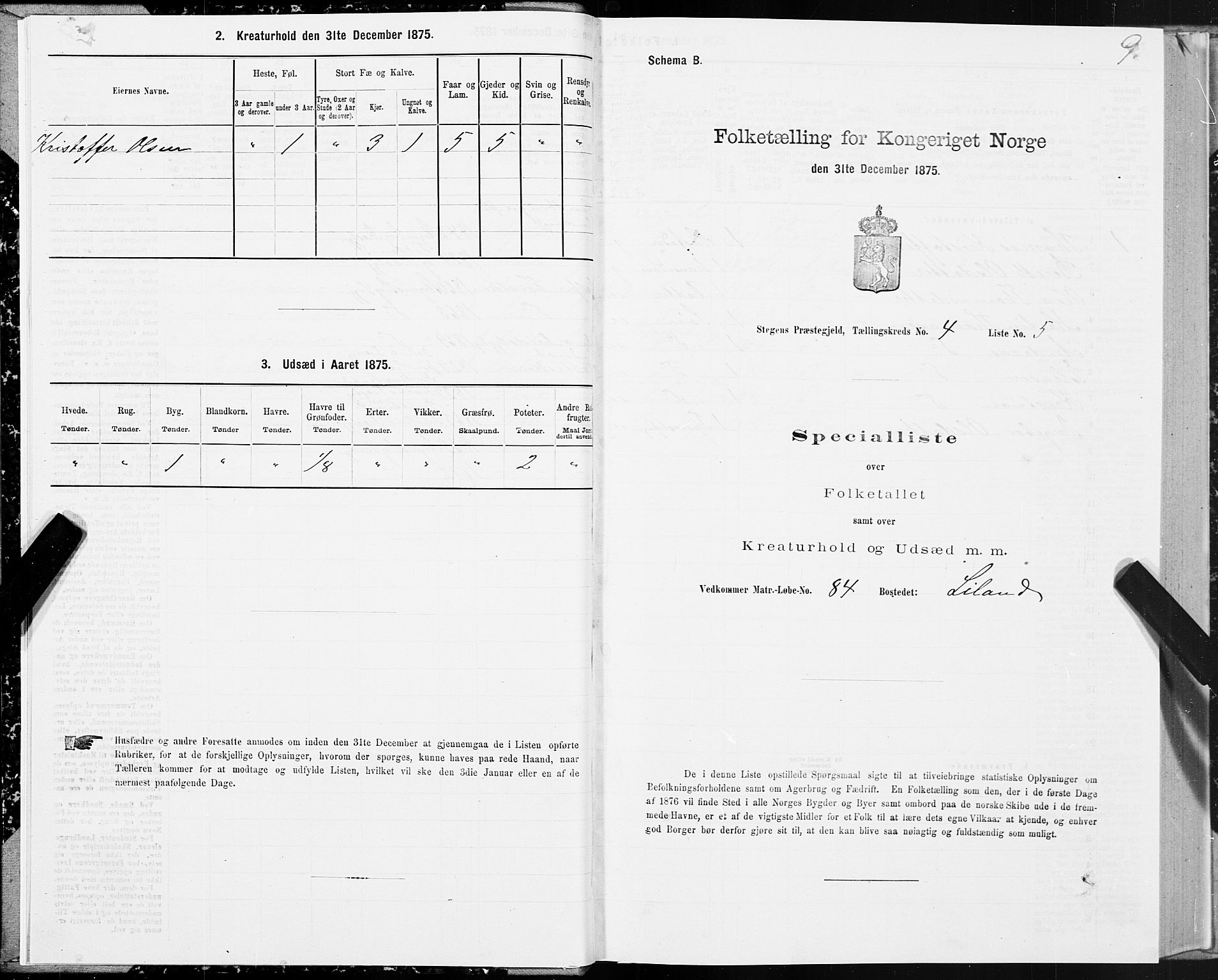 SAT, 1875 census for 1848P Steigen, 1875, p. 2009