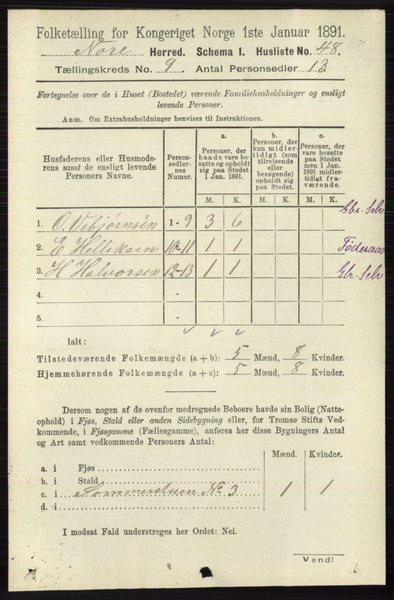 RA, 1891 census for 0633 Nore, 1891, p. 3202