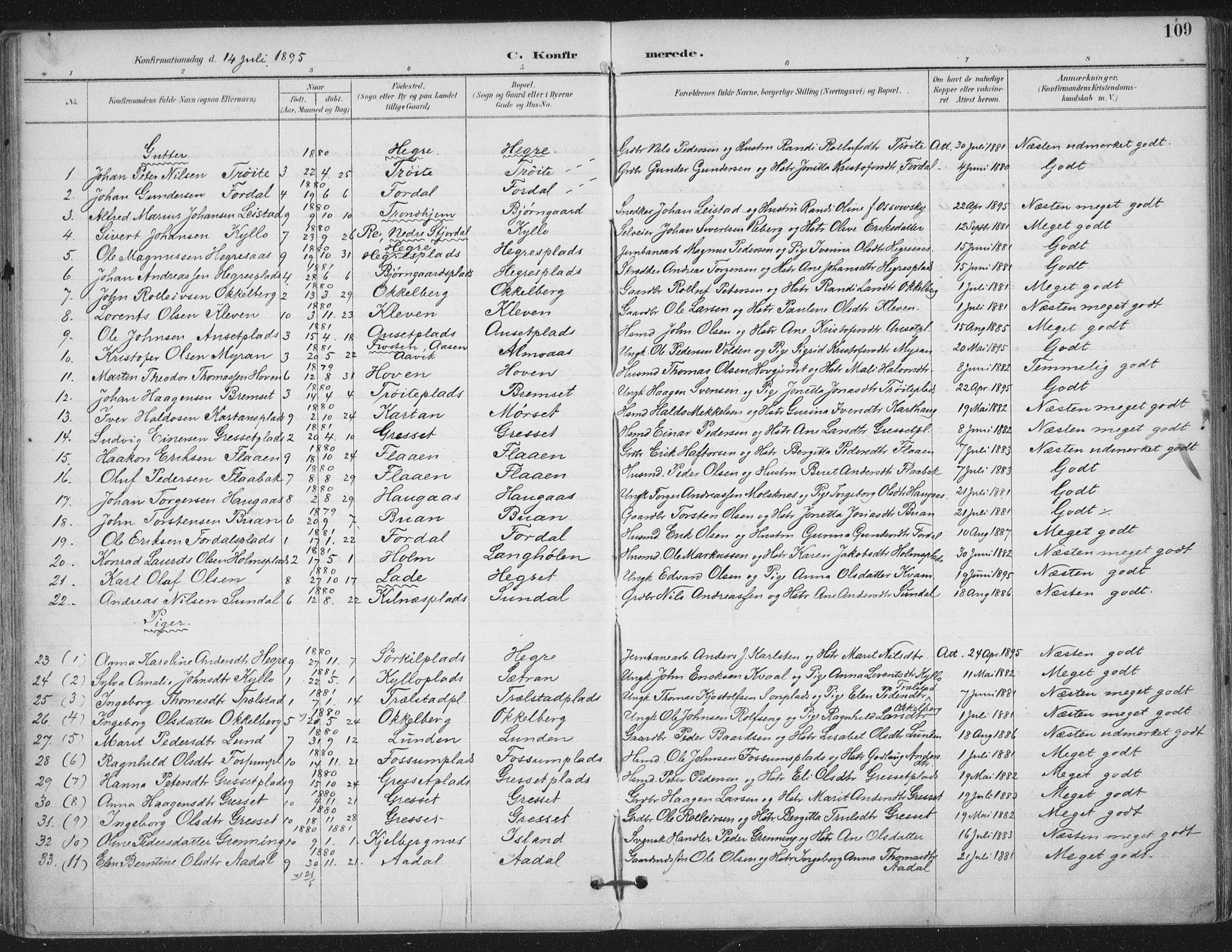 Ministerialprotokoller, klokkerbøker og fødselsregistre - Nord-Trøndelag, SAT/A-1458/703/L0031: Parish register (official) no. 703A04, 1893-1914, p. 109