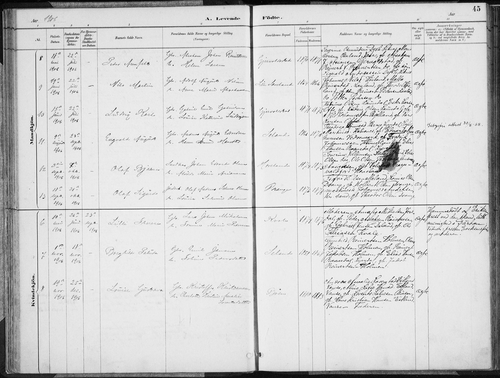 Herad sokneprestkontor, SAK/1111-0018/F/Fa/Faa/L0006: Parish register (official) no. A 6, 1887-1907, p. 45