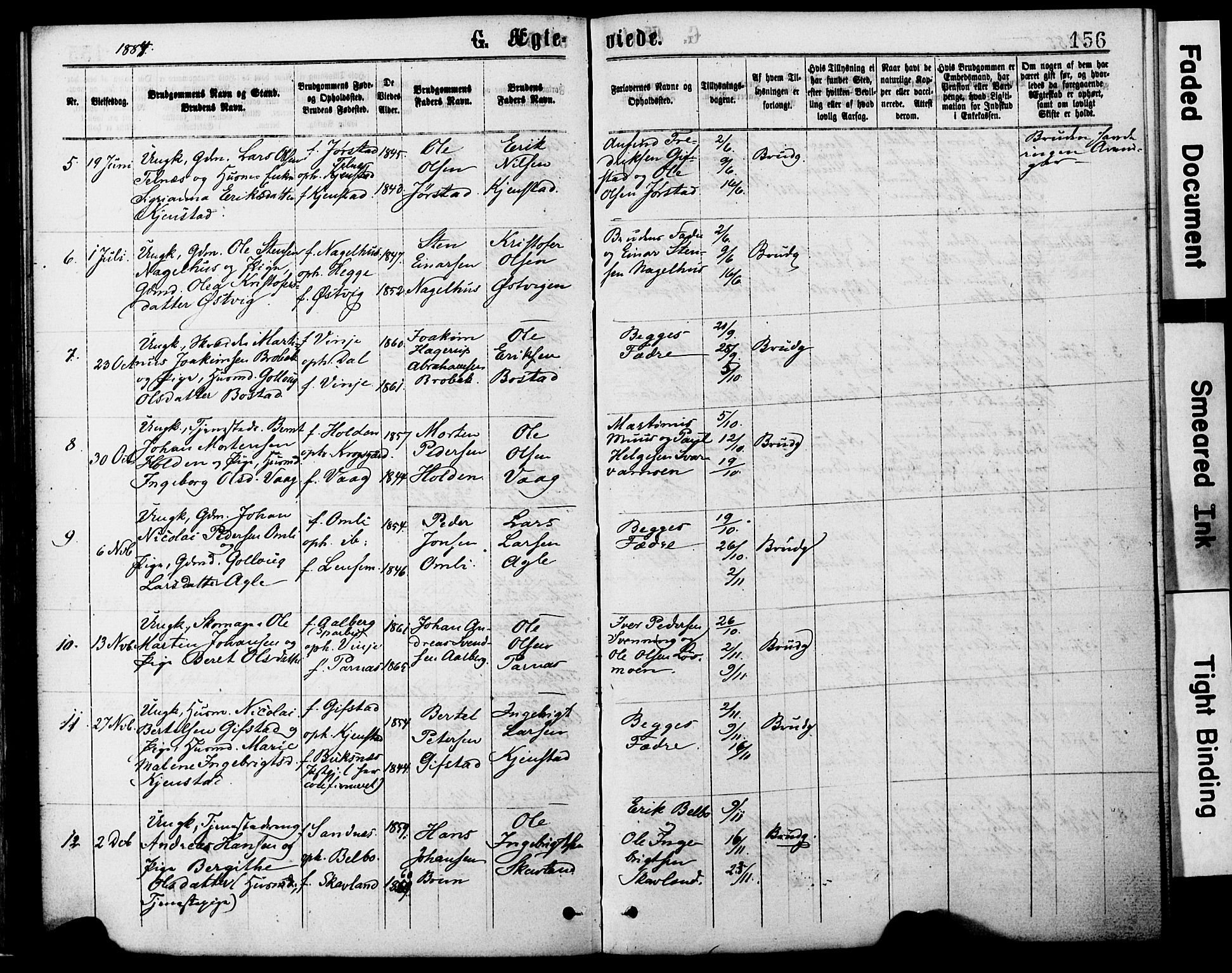 Ministerialprotokoller, klokkerbøker og fødselsregistre - Nord-Trøndelag, SAT/A-1458/749/L0473: Parish register (official) no. 749A07, 1873-1887, p. 156