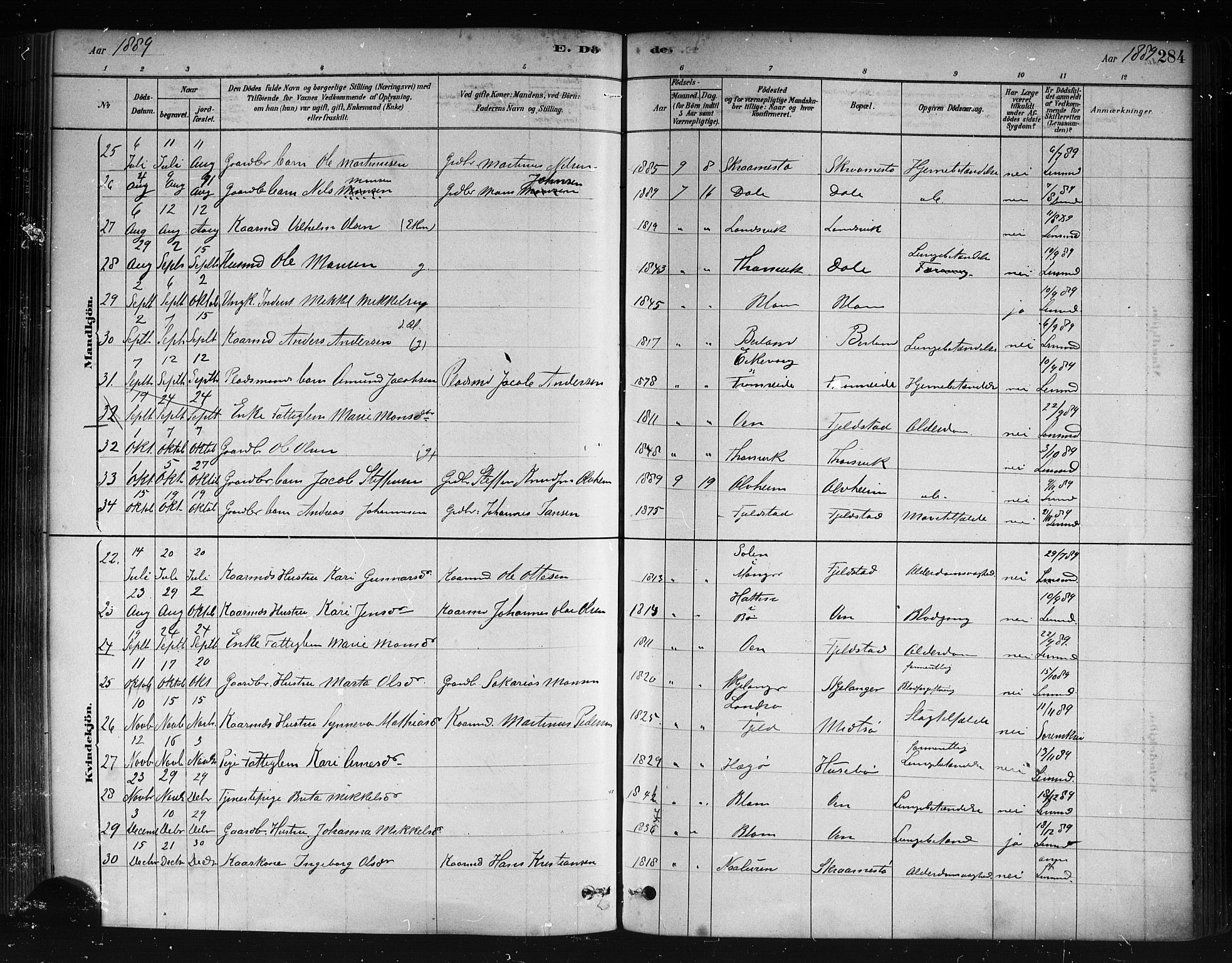 Herdla Sokneprestembete, AV/SAB-A-75701/H/Haa: Parish register (official) no. A 3, 1878-1890, p. 284