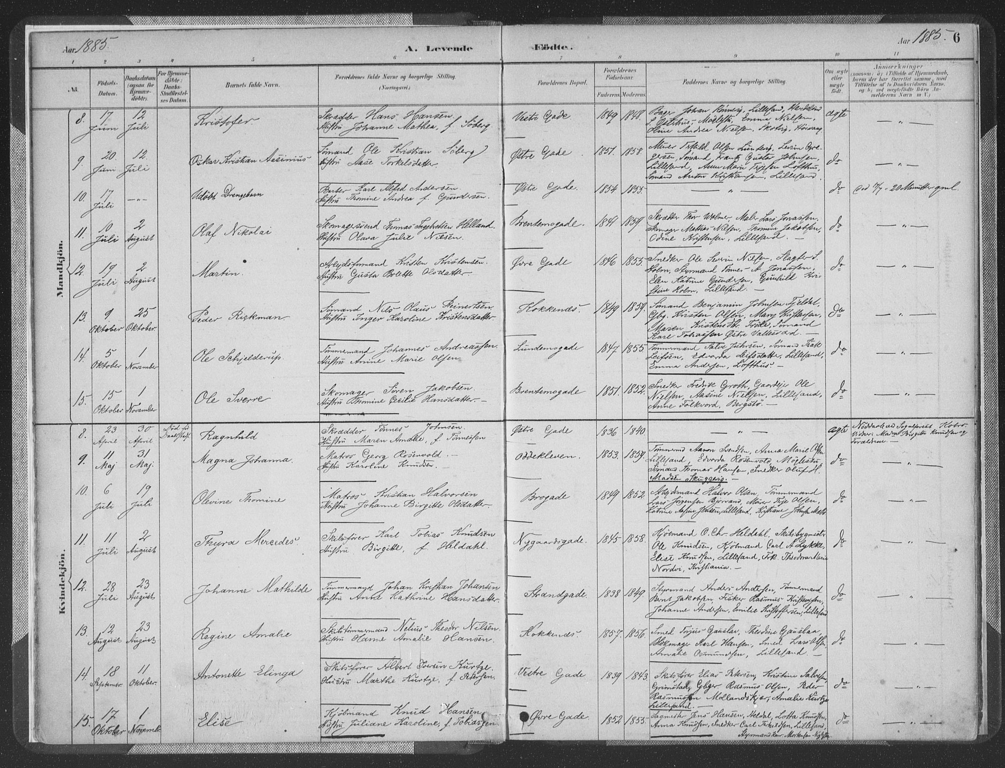 Vestre Moland sokneprestkontor, SAK/1111-0046/F/Fa/Faa/L0001: Parish register (official) no. A 1, 1884-1899, p. 6