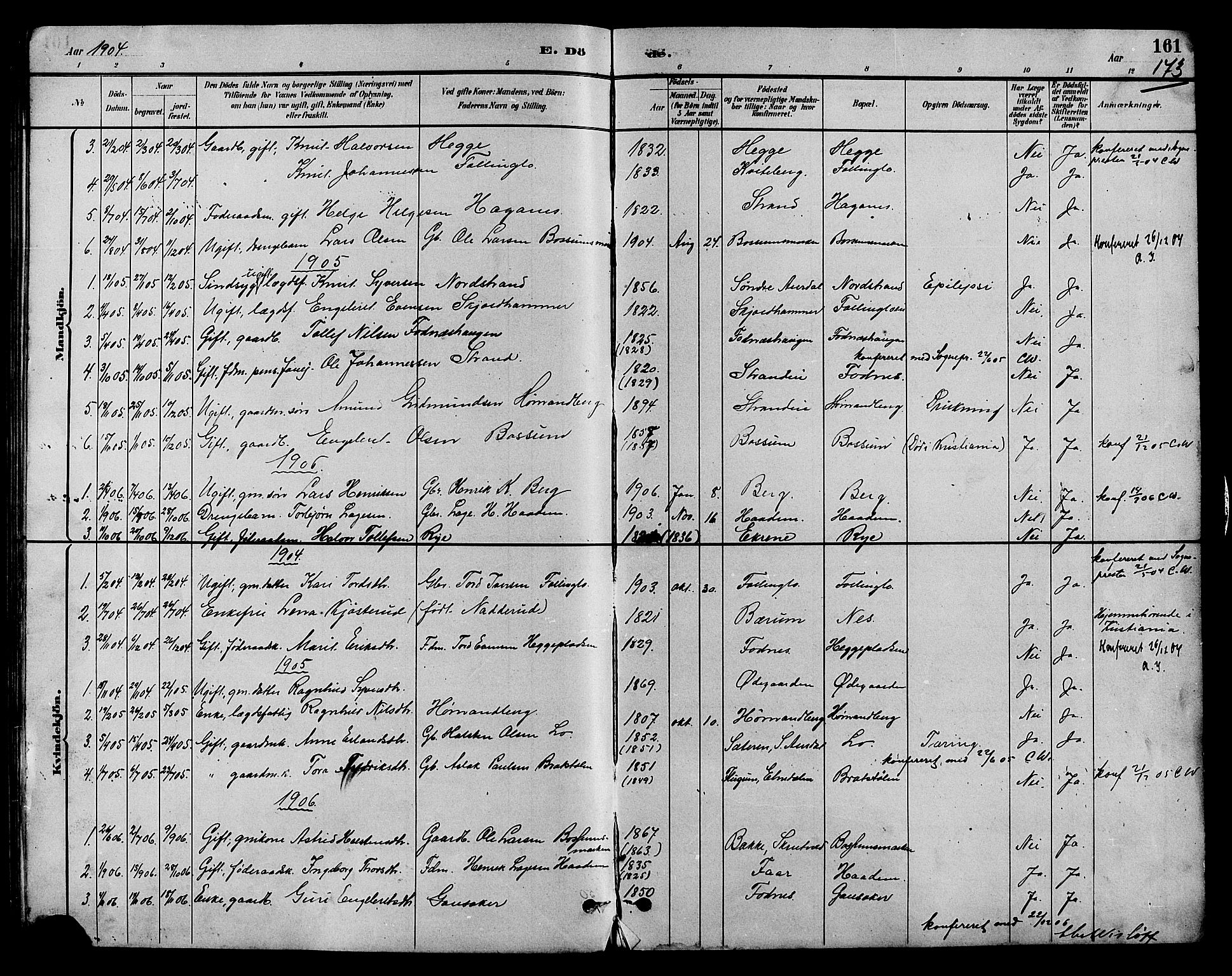 Nord-Aurdal prestekontor, AV/SAH-PREST-132/H/Ha/Hab/L0007: Parish register (copy) no. 7, 1883-1910, p. 173