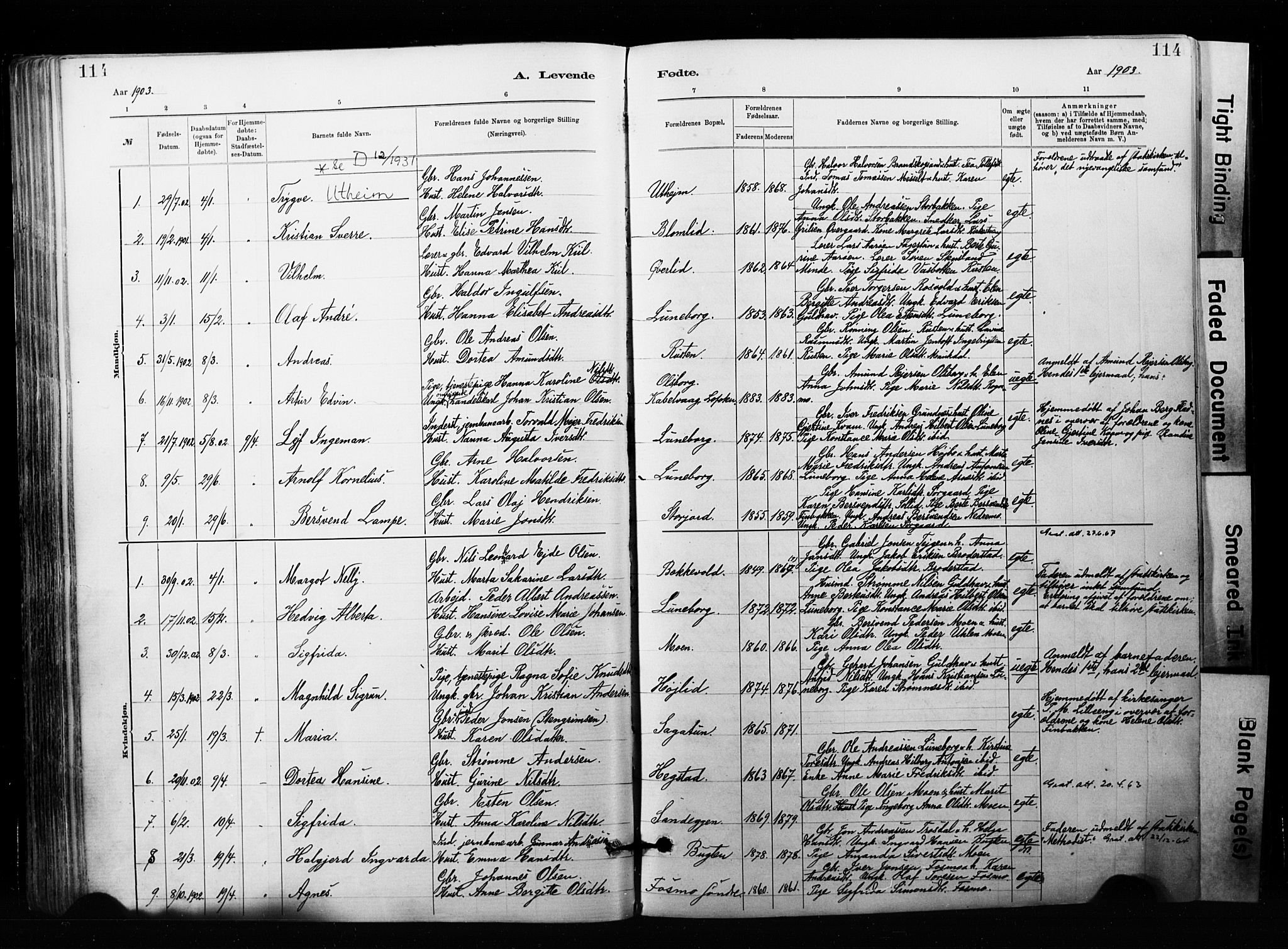Målselv sokneprestembete, SATØ/S-1311/G/Ga/Gaa/L0007kirke: Parish register (official) no. 7, 1884-1903, p. 114