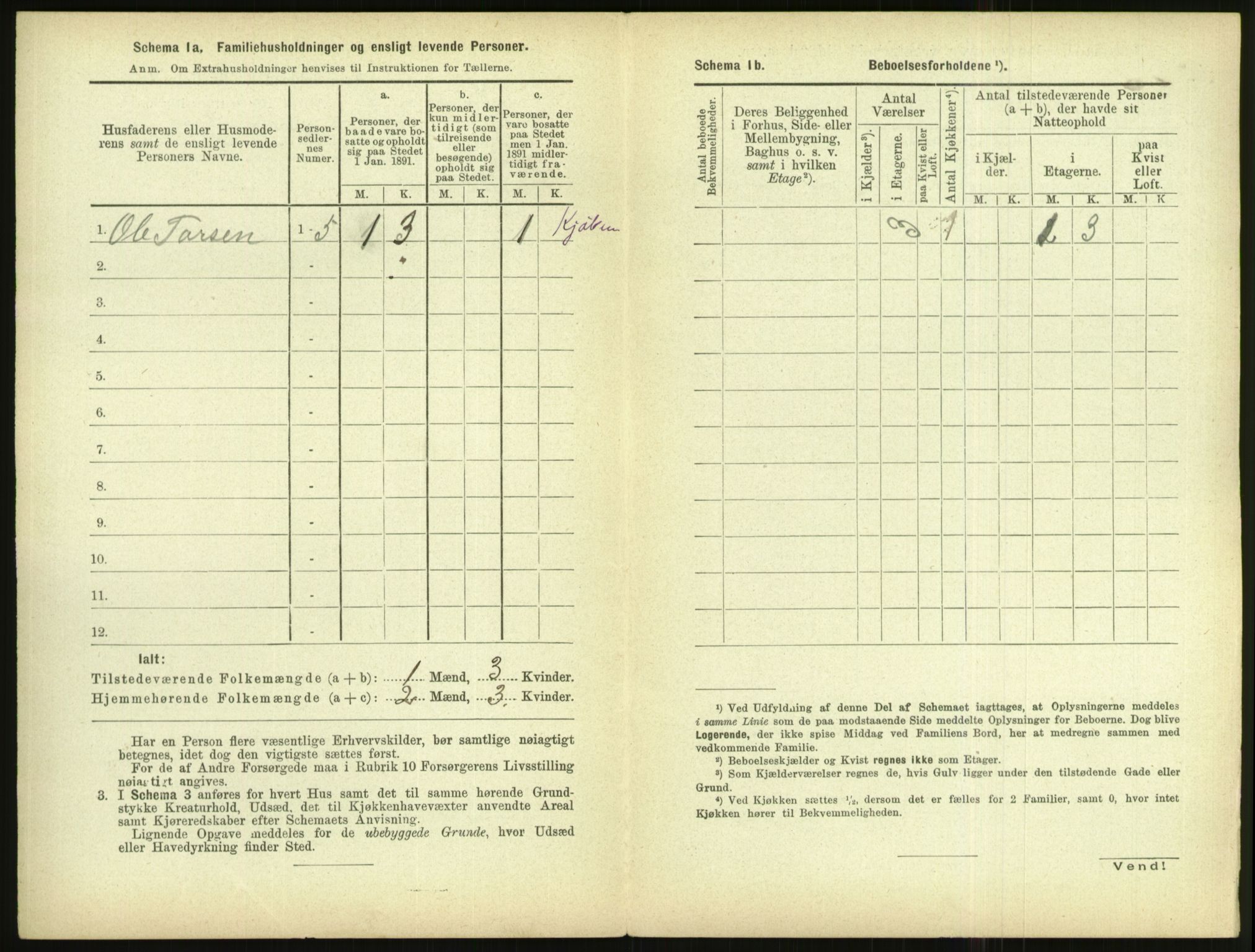 RA, 1891 census for 1102 Sandnes, 1891, p. 134