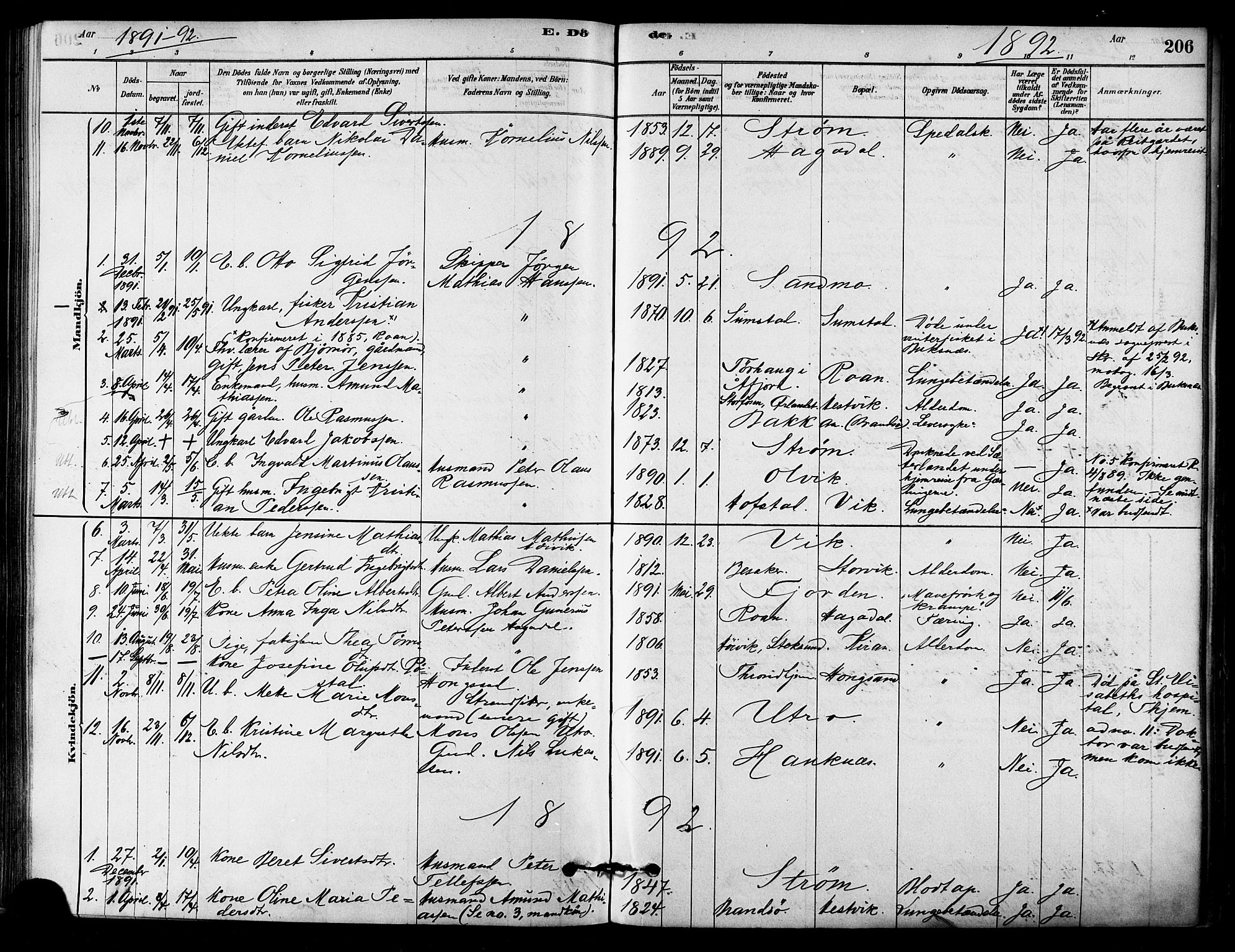 Ministerialprotokoller, klokkerbøker og fødselsregistre - Sør-Trøndelag, SAT/A-1456/657/L0707: Parish register (official) no. 657A08, 1879-1893, p. 206