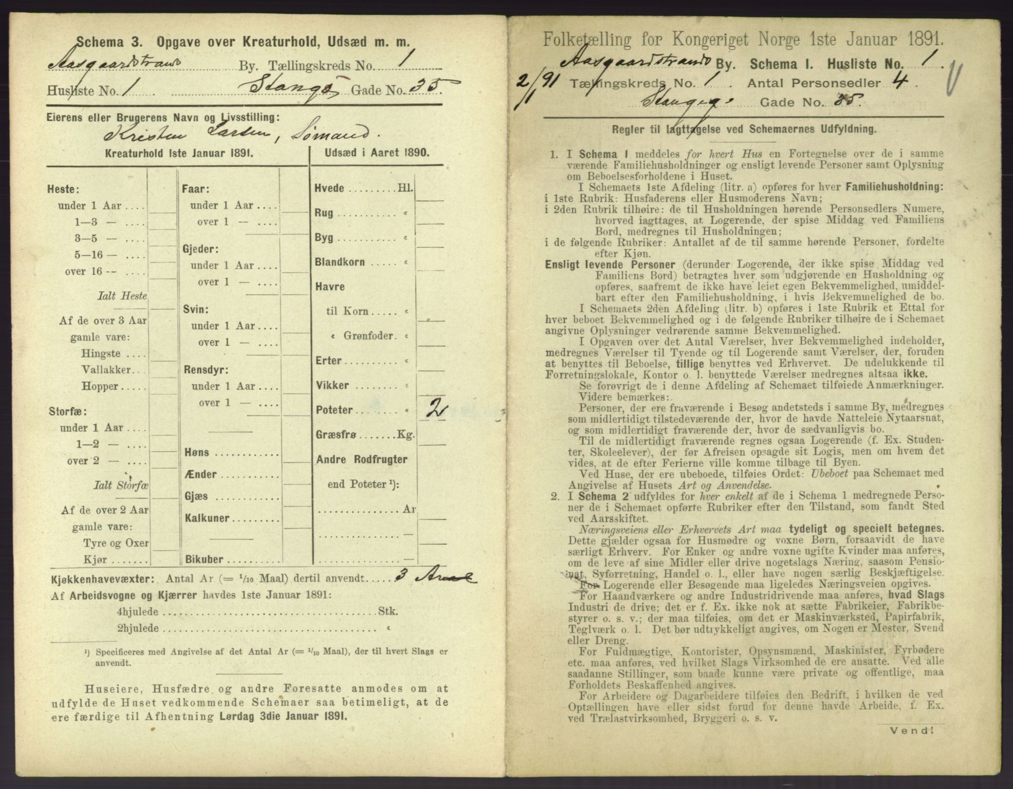 RA, 1891 census for 0704 Åsgårdstrand, 1891, p. 13