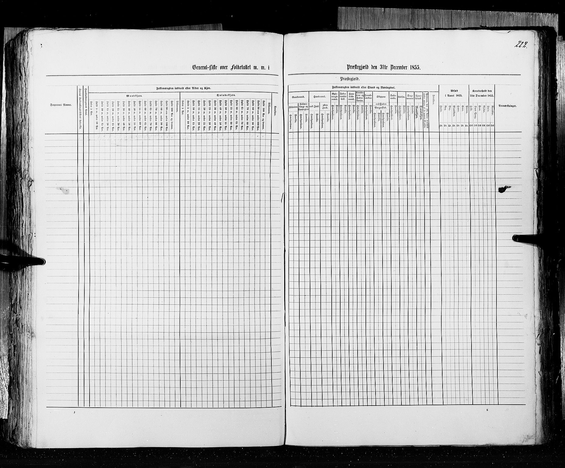 RA, Census 1855, vol. 3: Bratsberg amt, Nedenes amt og Lister og Mandal amt, 1855, p. 222