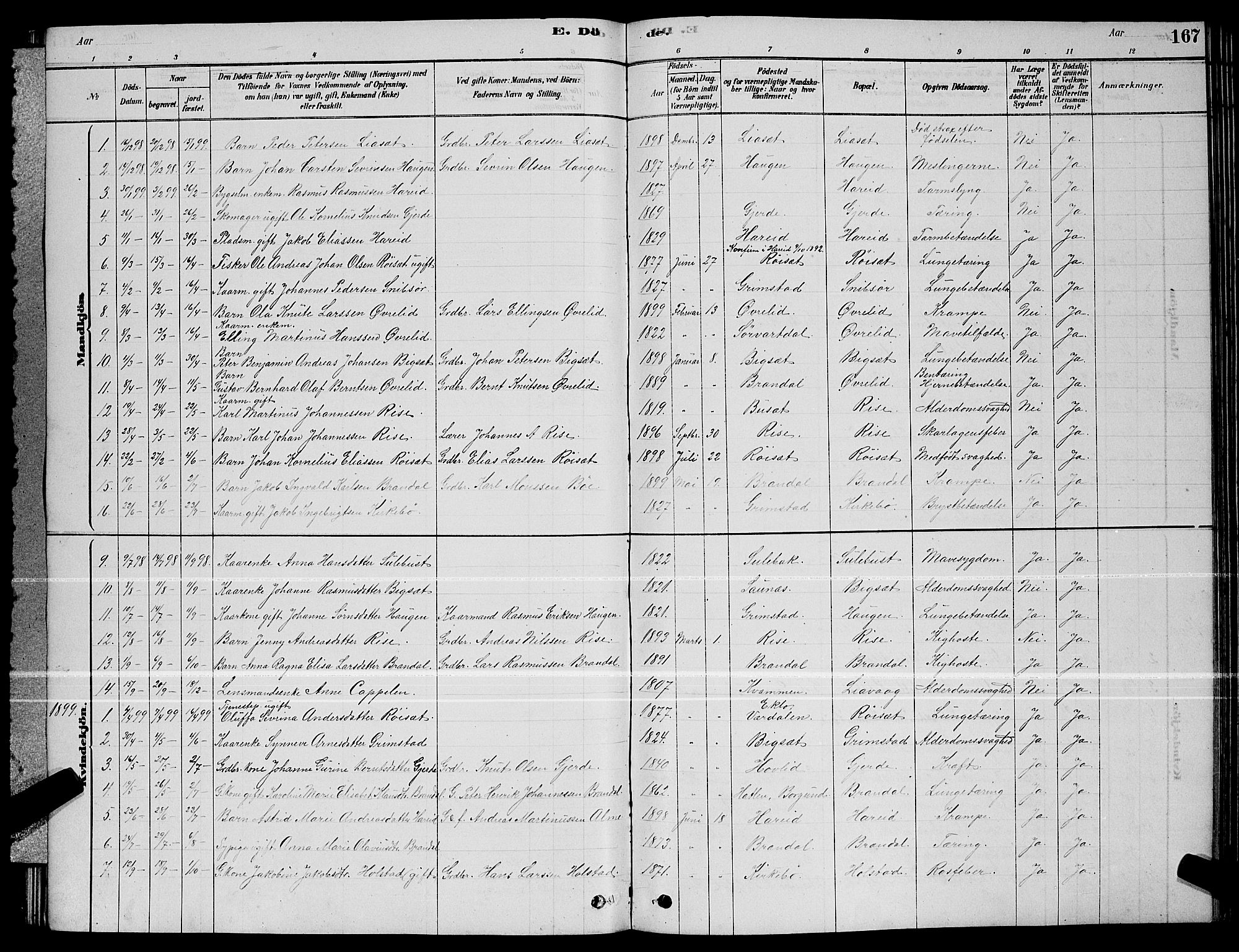 Ministerialprotokoller, klokkerbøker og fødselsregistre - Møre og Romsdal, AV/SAT-A-1454/510/L0125: Parish register (copy) no. 510C02, 1878-1900, p. 167