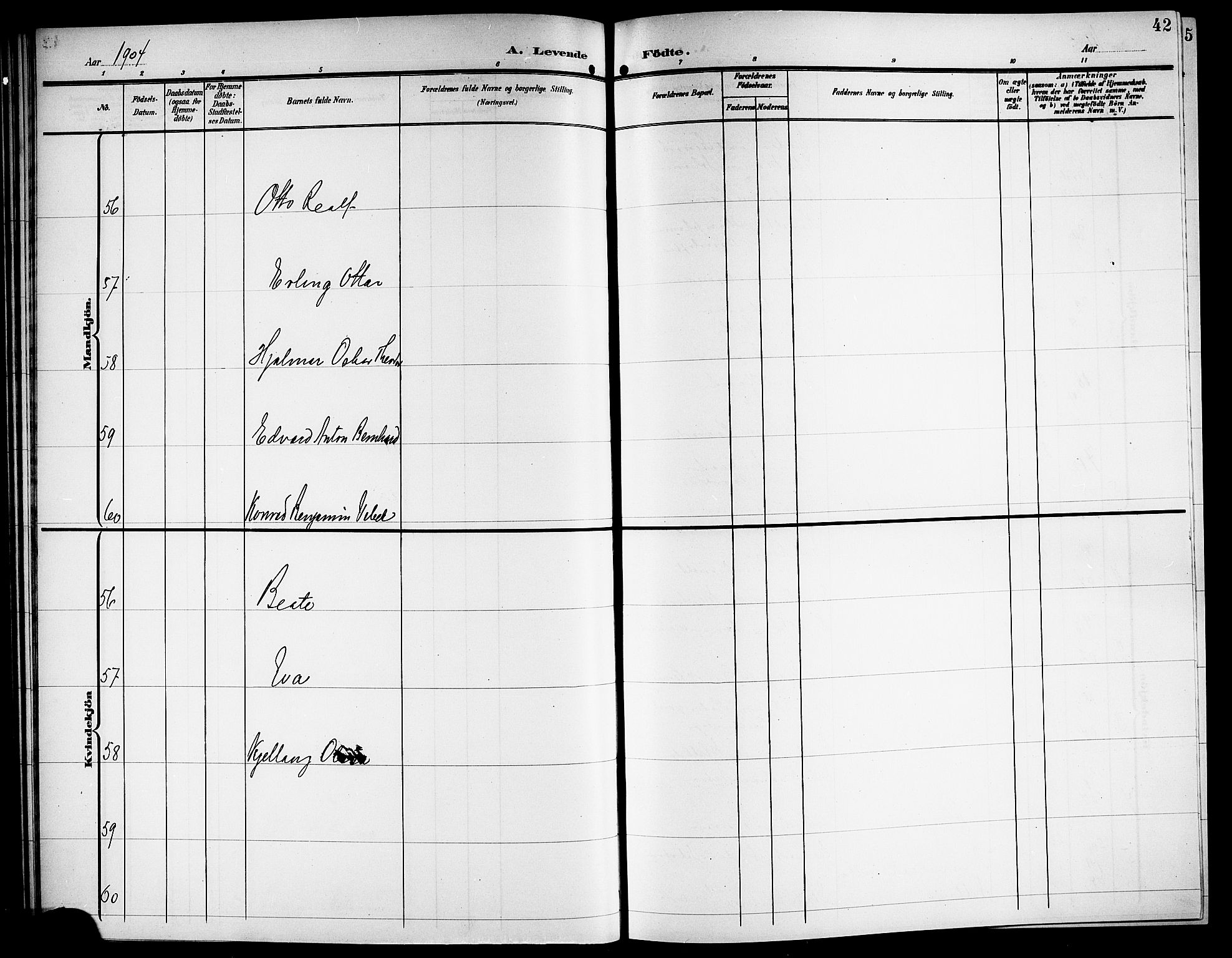 Ministerialprotokoller, klokkerbøker og fødselsregistre - Nordland, SAT/A-1459/871/L1012: Parish register (copy) no. 871C01, 1902-1909, p. 42