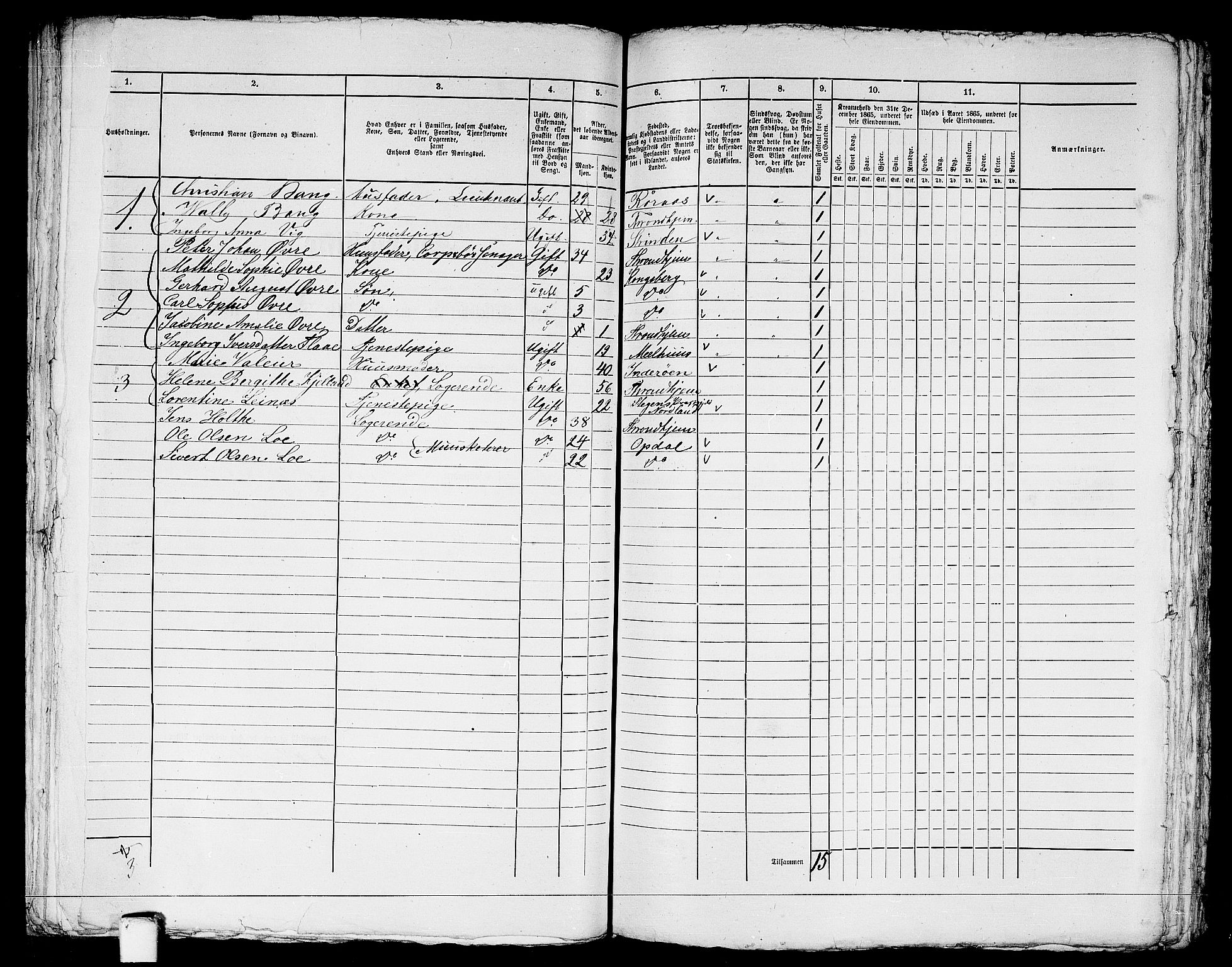 RA, 1865 census for Trondheim, 1865, p. 1304