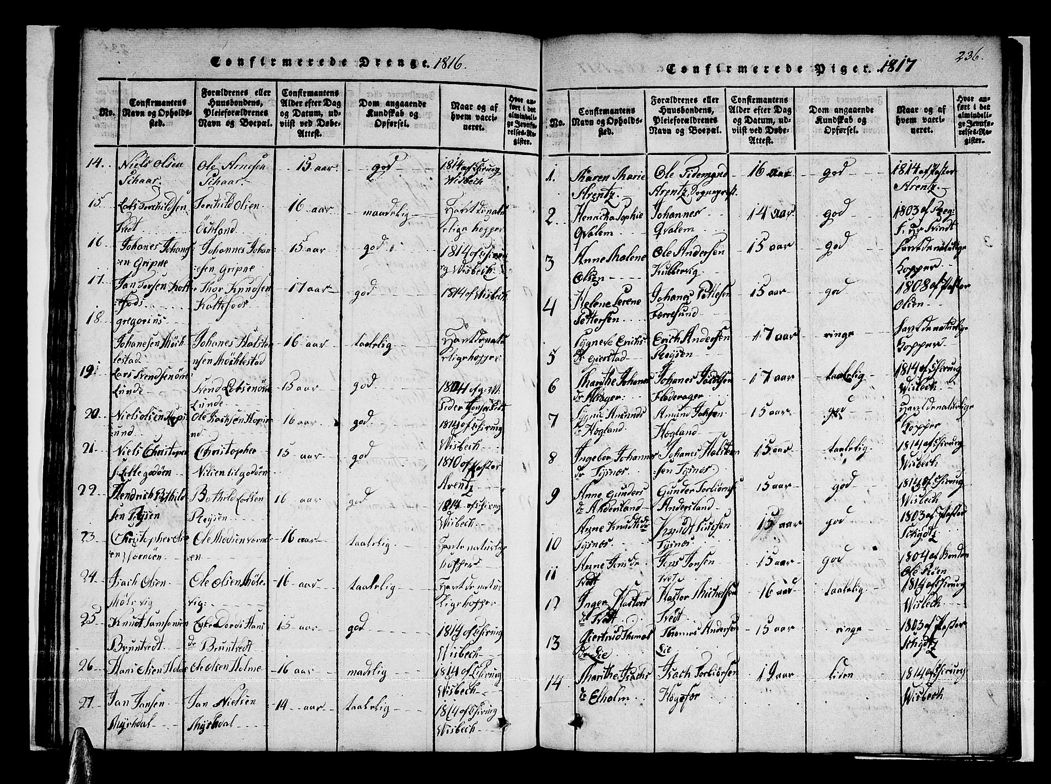 Tysnes sokneprestembete, AV/SAB-A-78601/H/Haa: Parish register (official) no. A 7, 1816-1826, p. 236