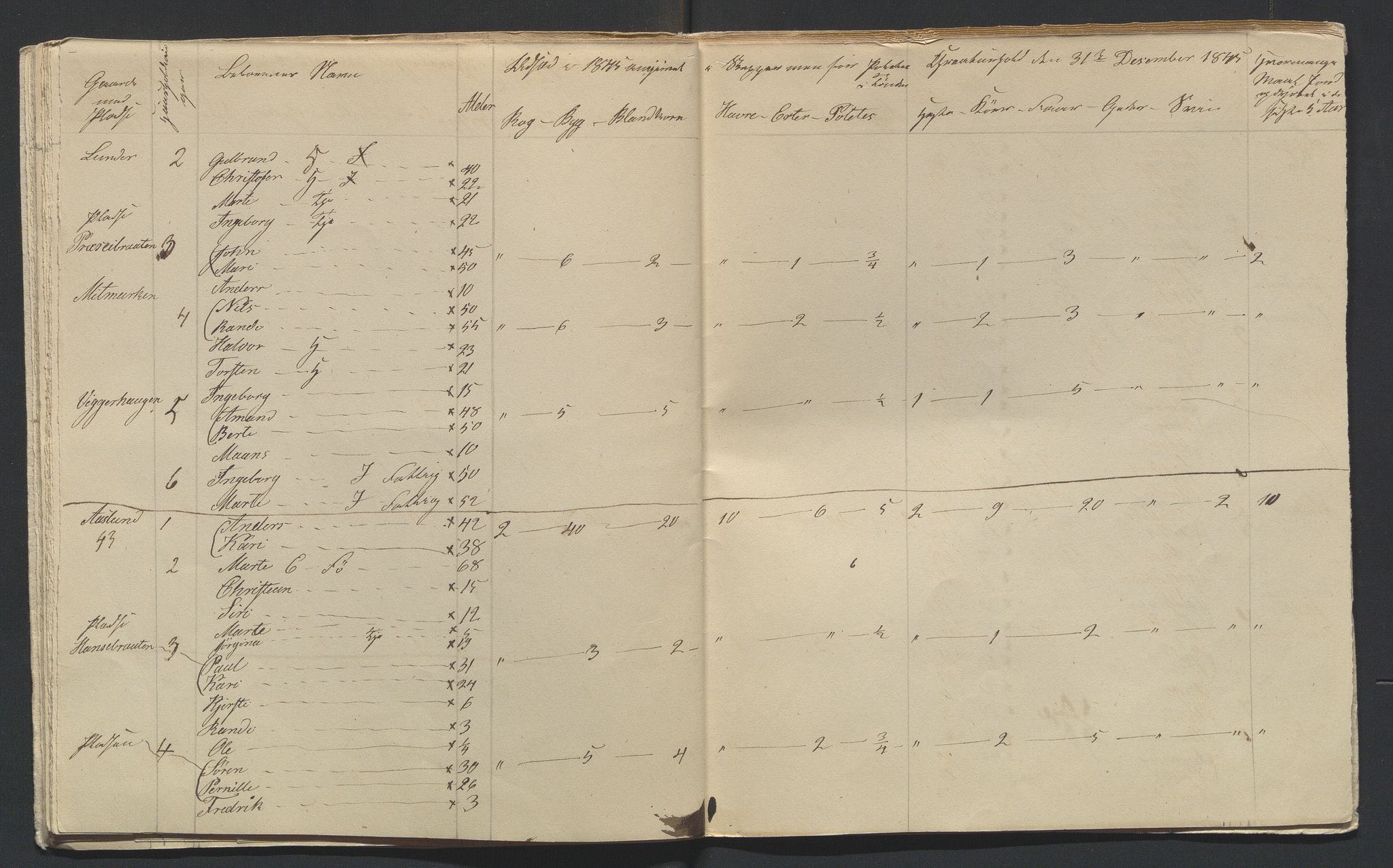 SAH, 1845 Census for Jevnaker parish, 1845, p. 20