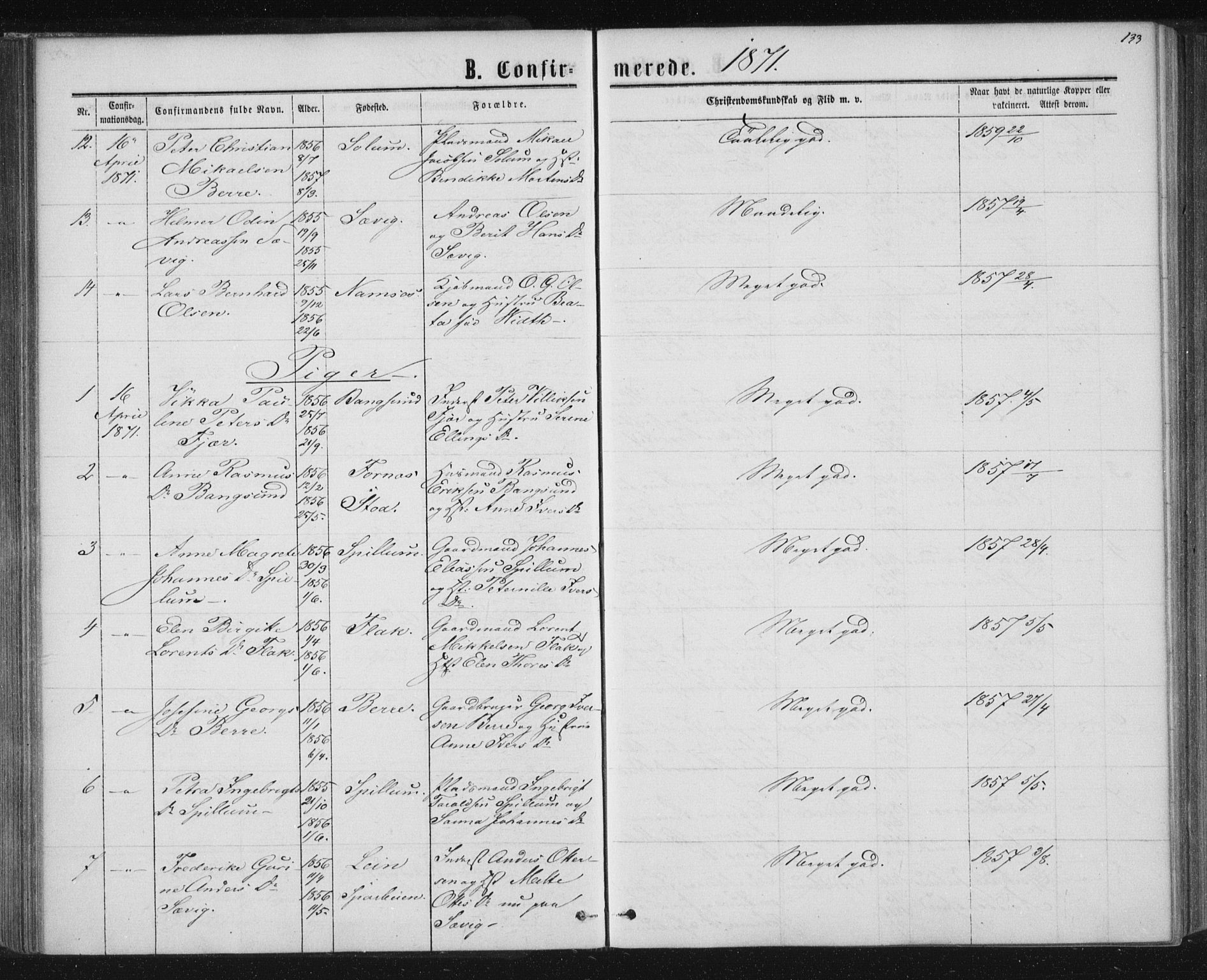 Ministerialprotokoller, klokkerbøker og fødselsregistre - Nord-Trøndelag, AV/SAT-A-1458/768/L0570: Parish register (official) no. 768A05, 1865-1874, p. 133