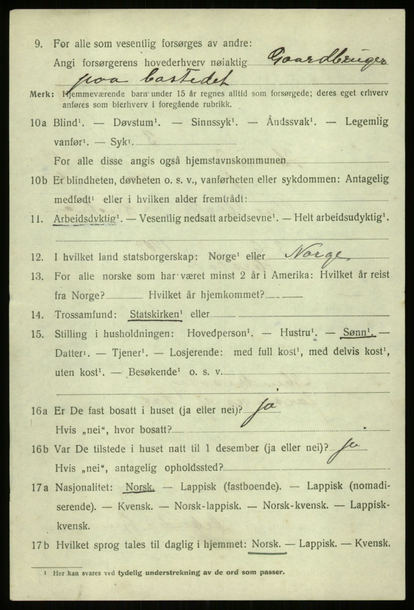 SATØ, 1920 census for Ibestad, 1920, p. 10667