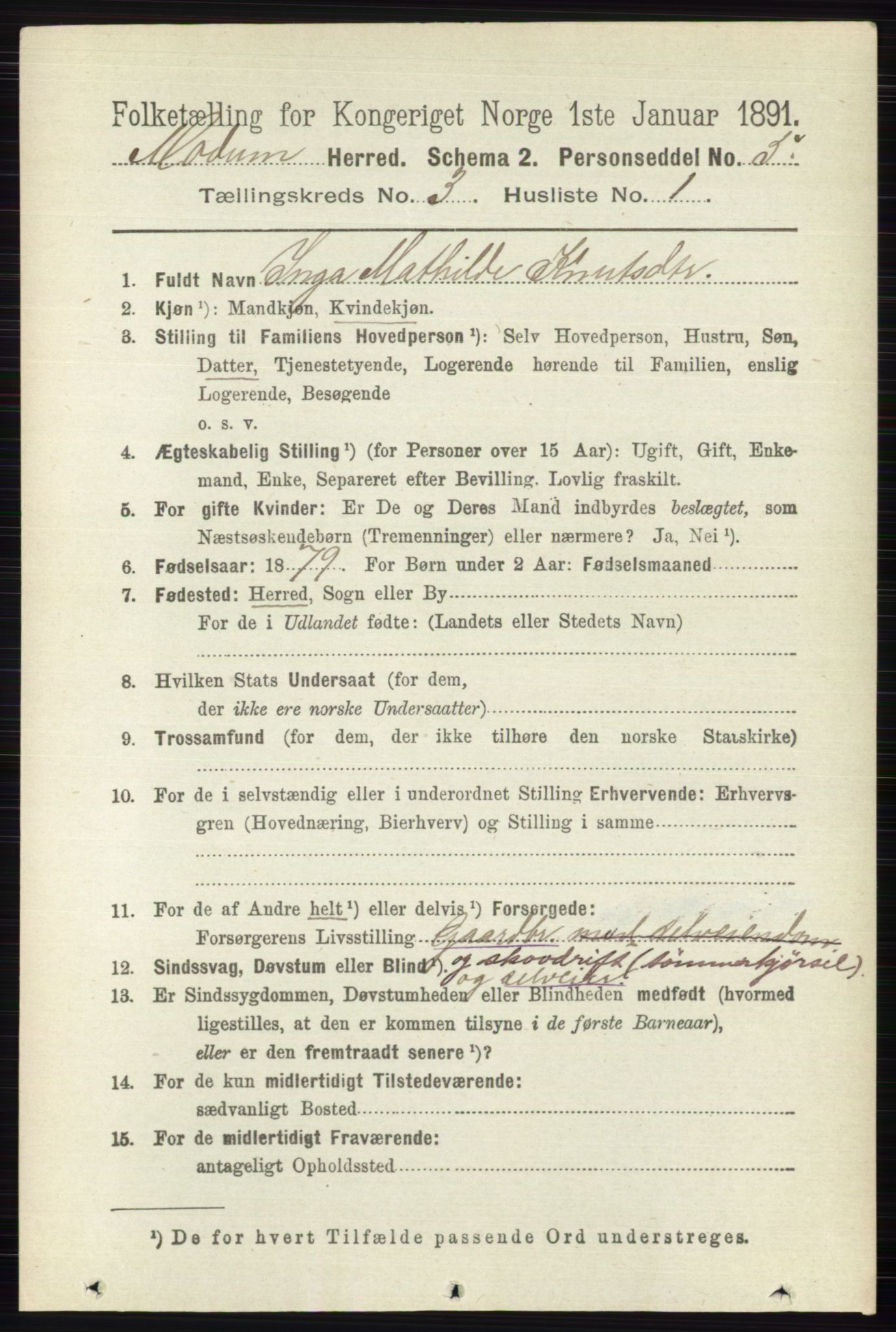 RA, 1891 census for 0623 Modum, 1891, p. 724