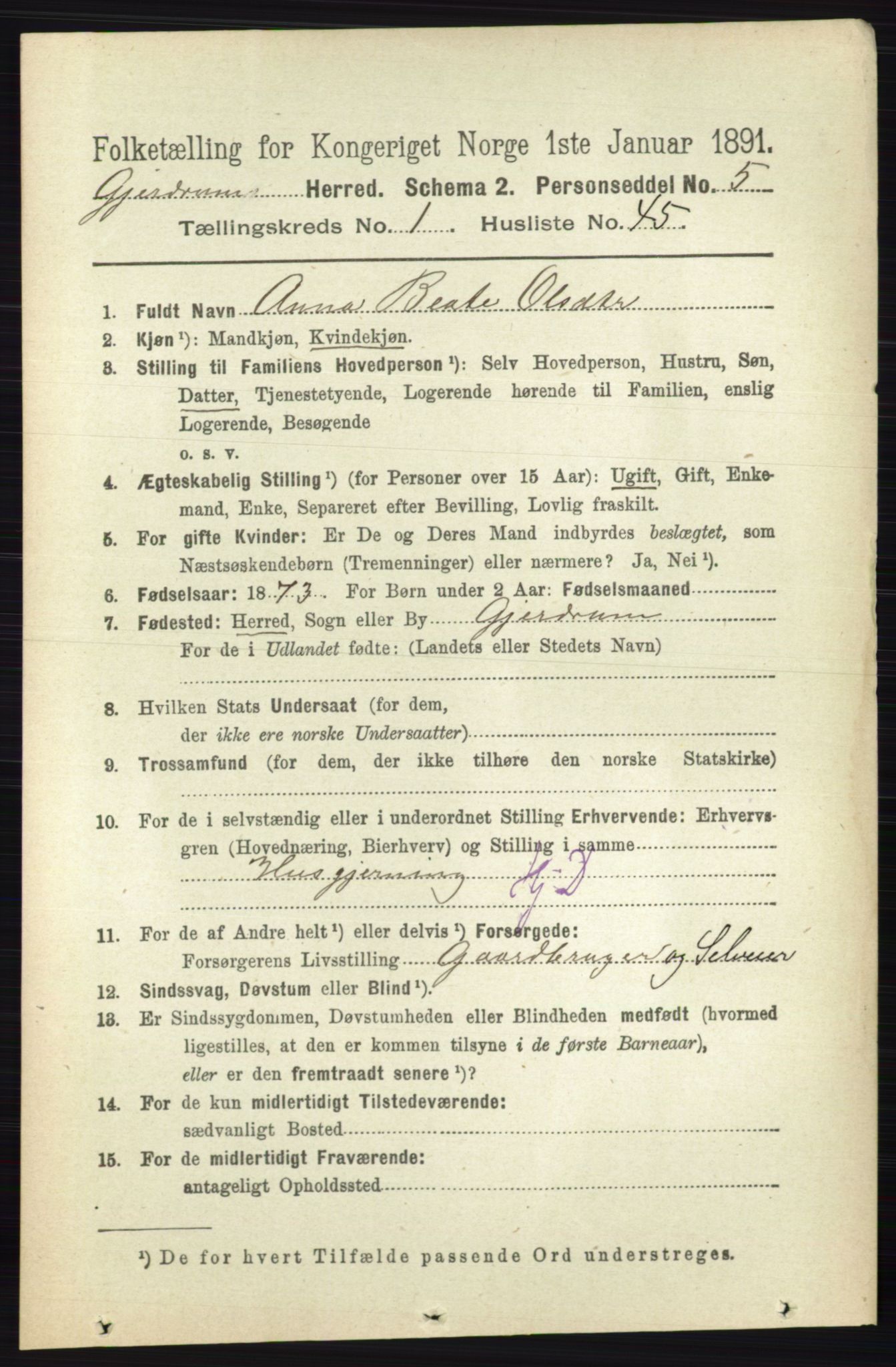 RA, 1891 census for 0234 Gjerdrum, 1891, p. 365