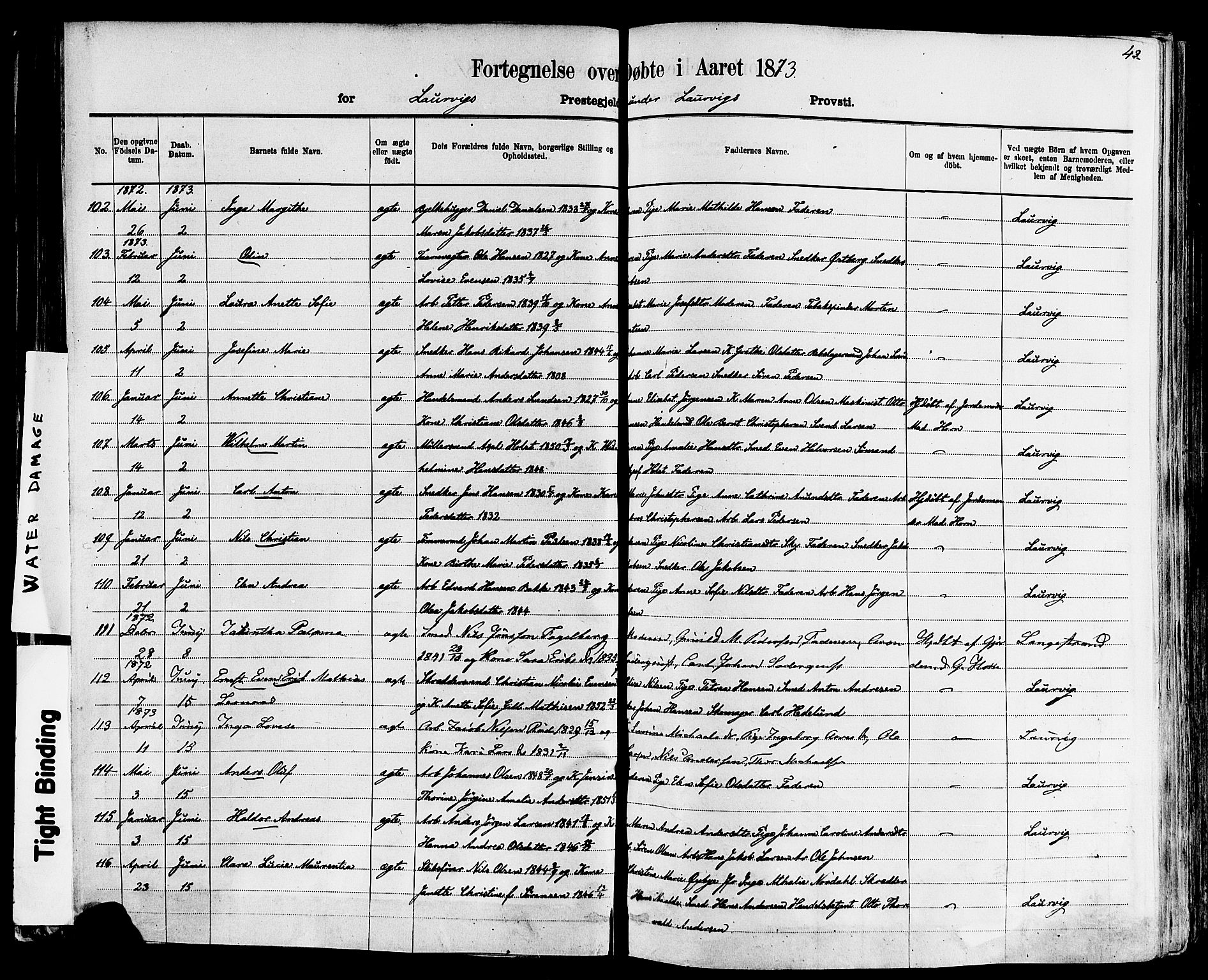 Larvik kirkebøker, AV/SAKO-A-352/F/Fa/L0006: Parish register (official) no. I 6, 1871-1883, p. 43