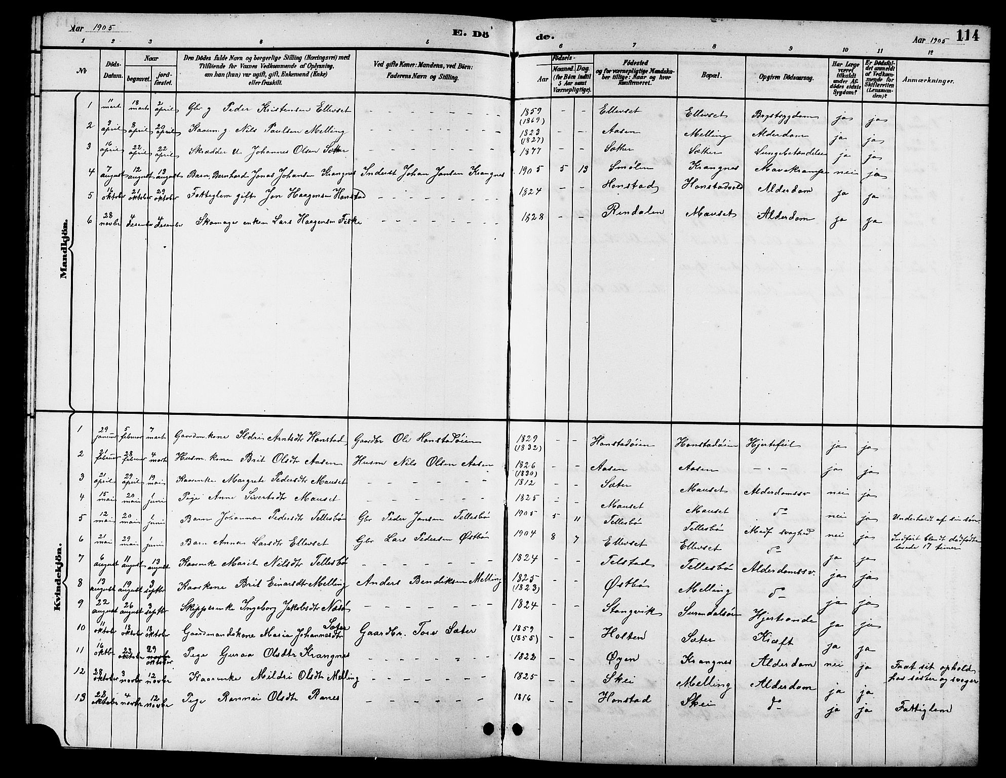 Ministerialprotokoller, klokkerbøker og fødselsregistre - Møre og Romsdal, AV/SAT-A-1454/596/L1058: Parish register (copy) no. 596C01, 1891-1907, p. 114