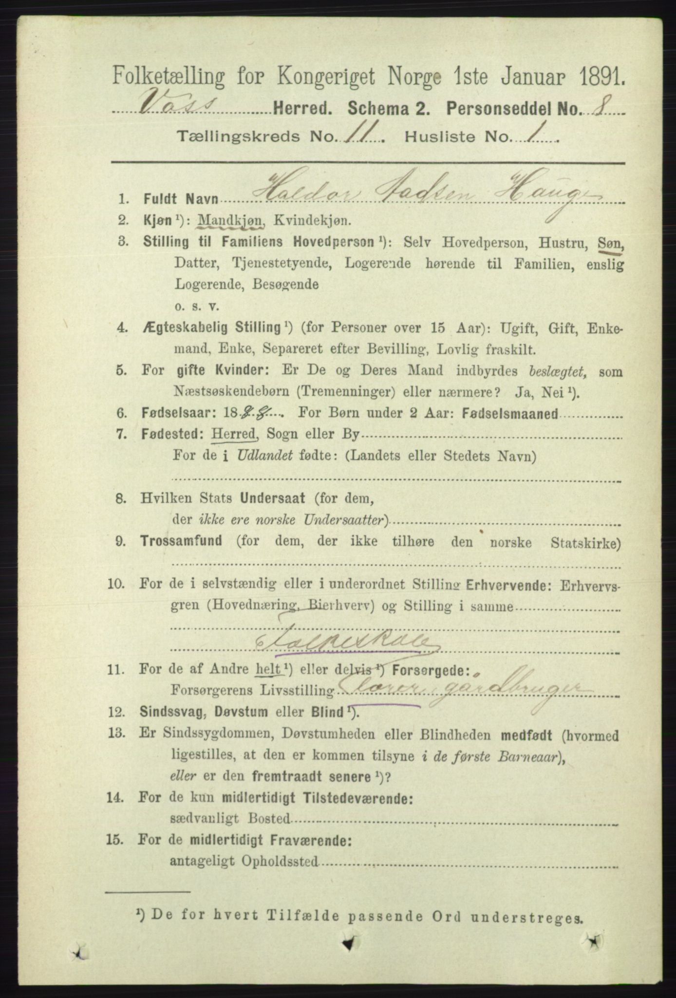 RA, 1891 census for 1235 Voss, 1891, p. 5835